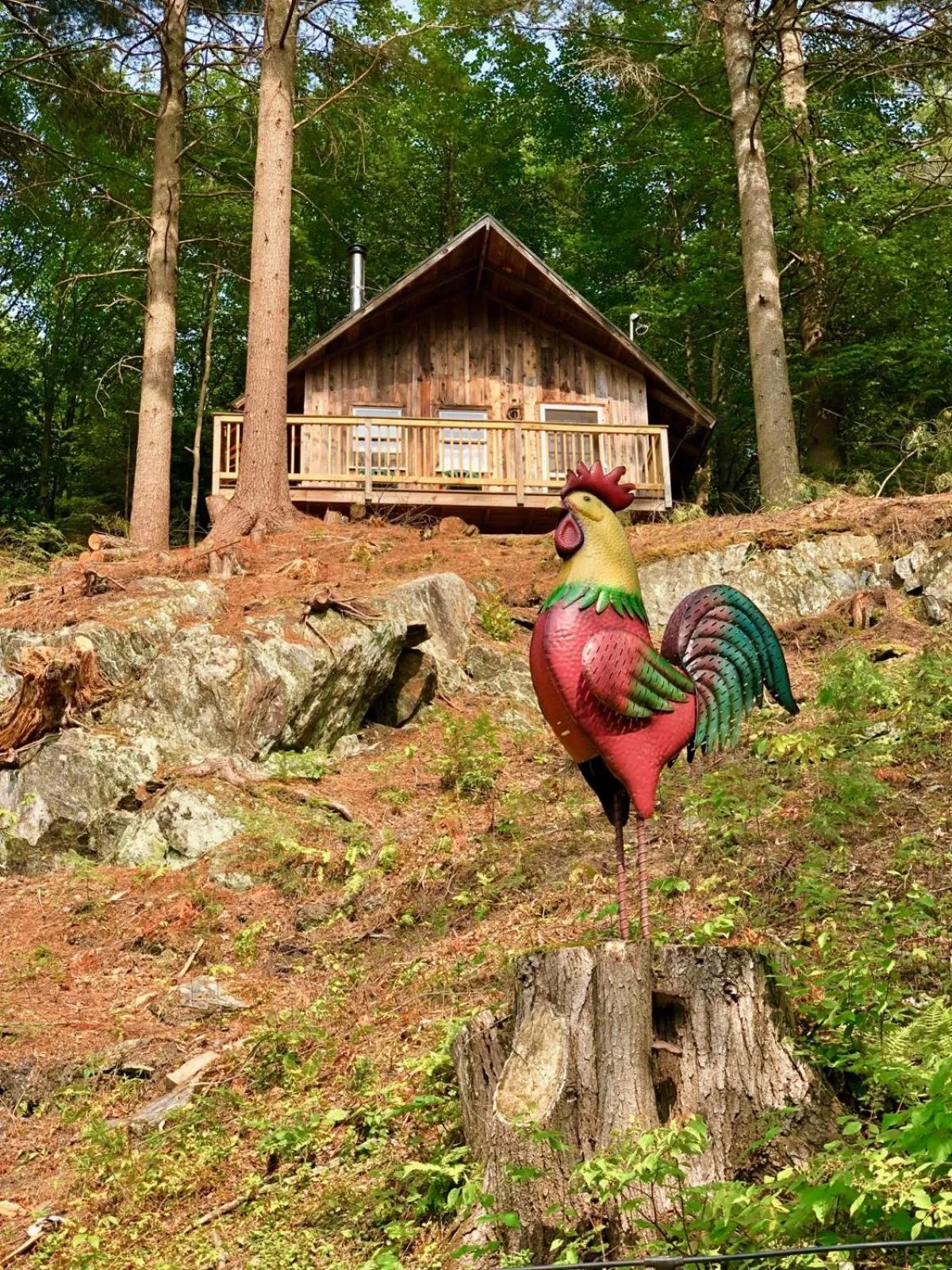 Grunberg Haus Inn & Cabins