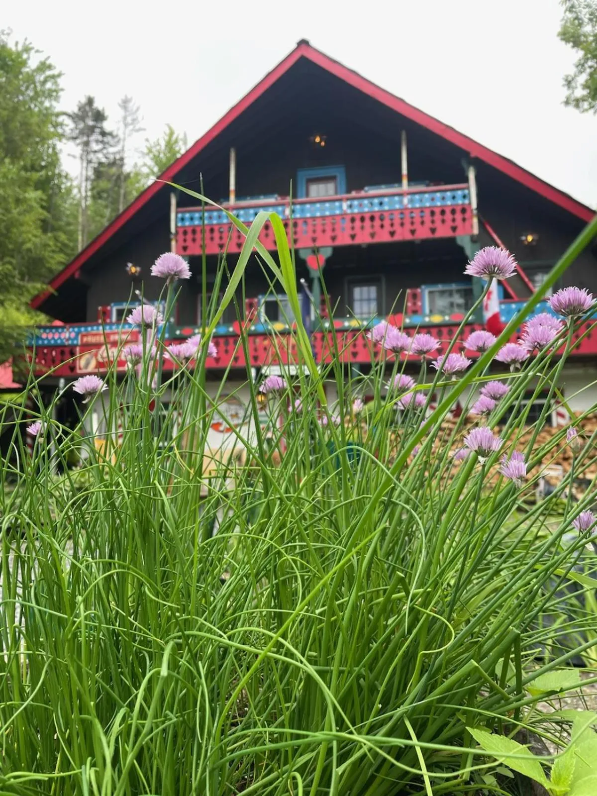 Grunberg Haus Inn & Cabins