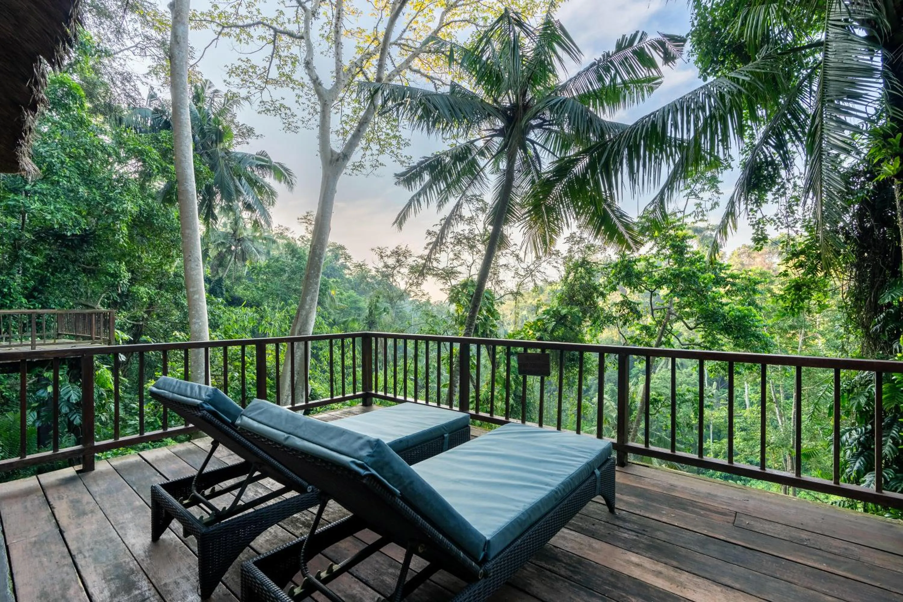 View (from property/room) in Natura Villa Ubud Bali