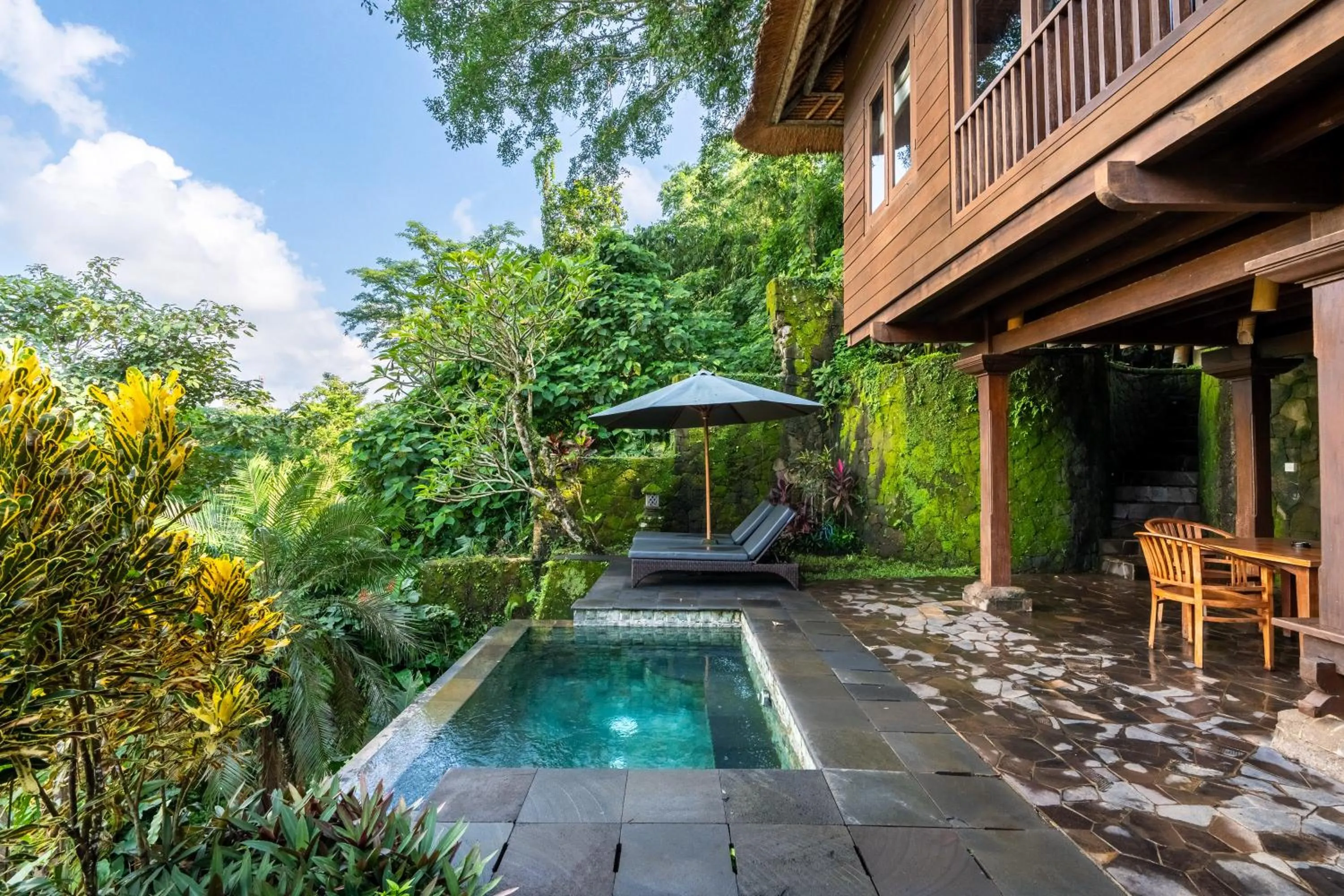 Swimming pool in Natura Villa Ubud Bali