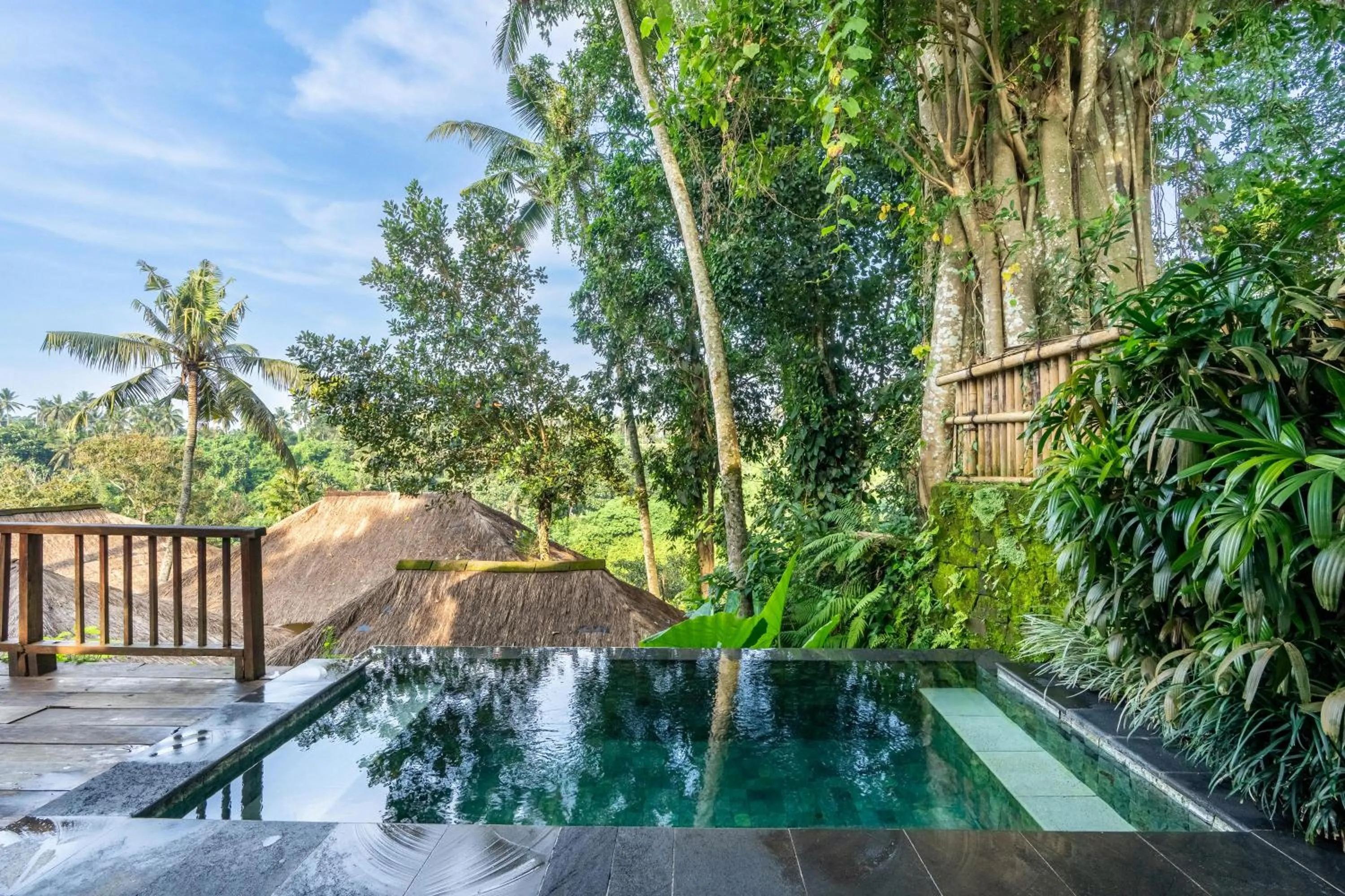 Swimming pool in Natura Villa Ubud Bali