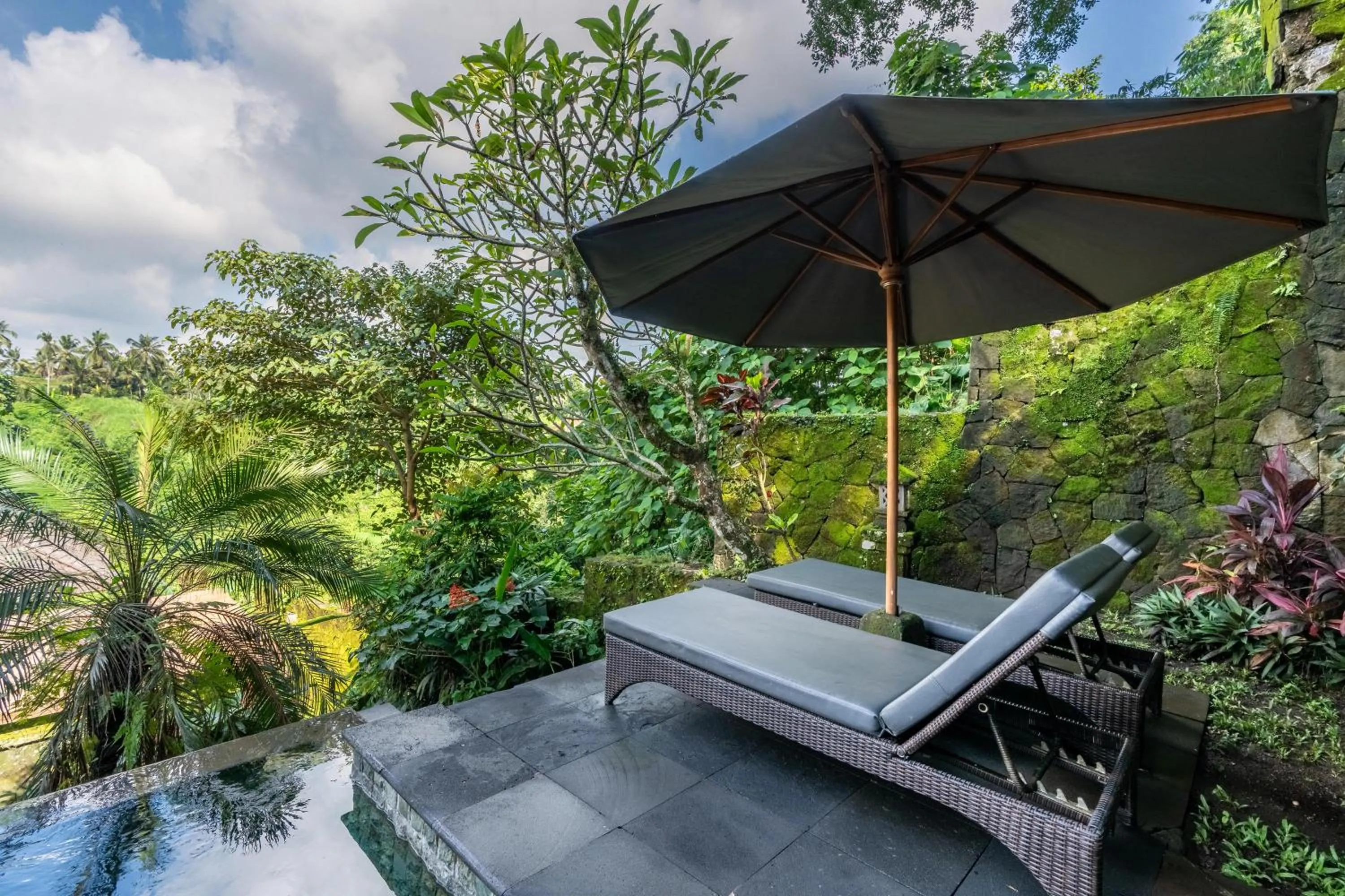 Swimming pool in Natura Villa Ubud Bali