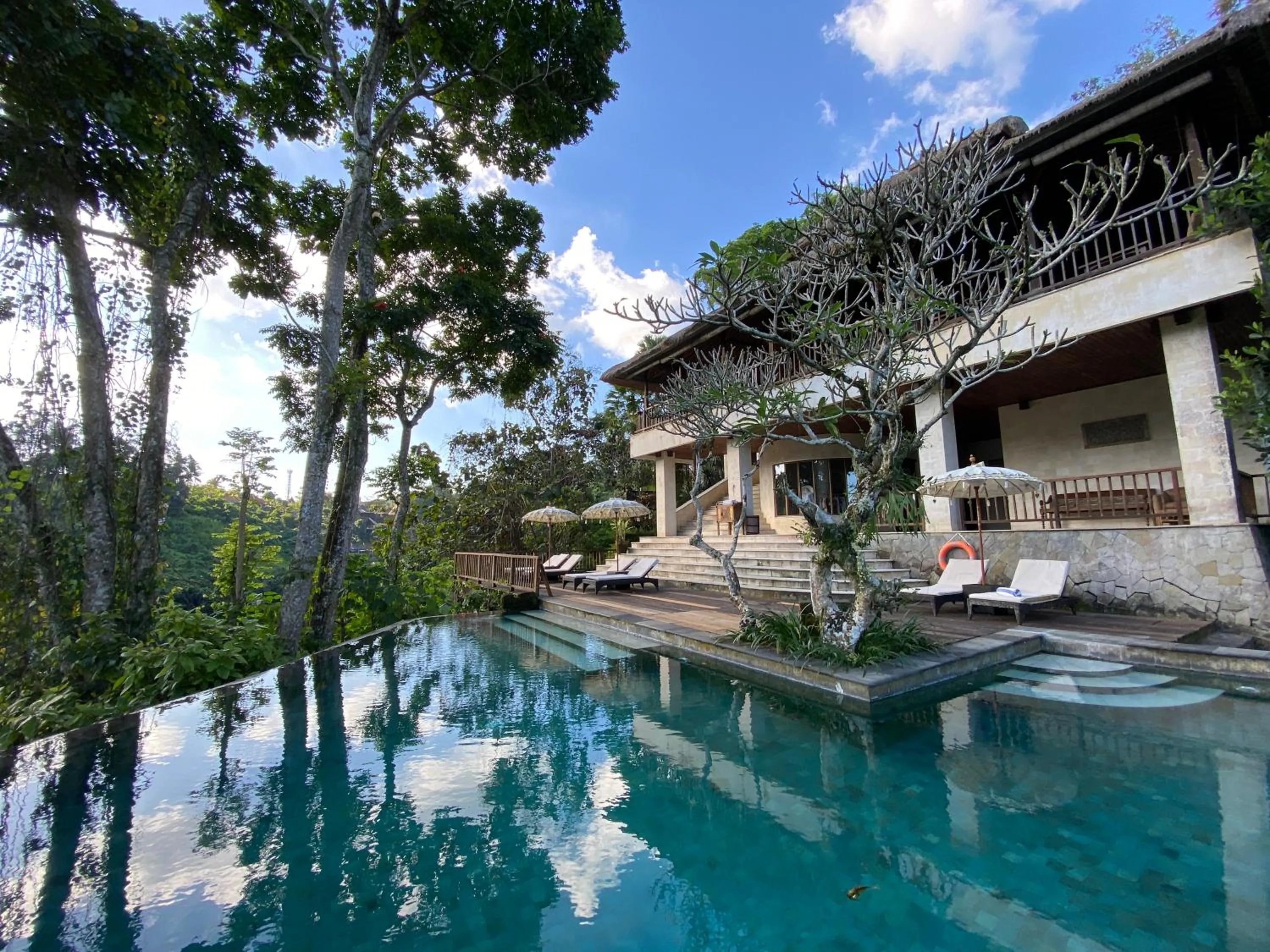 Swimming pool in Natura Villa Ubud Bali