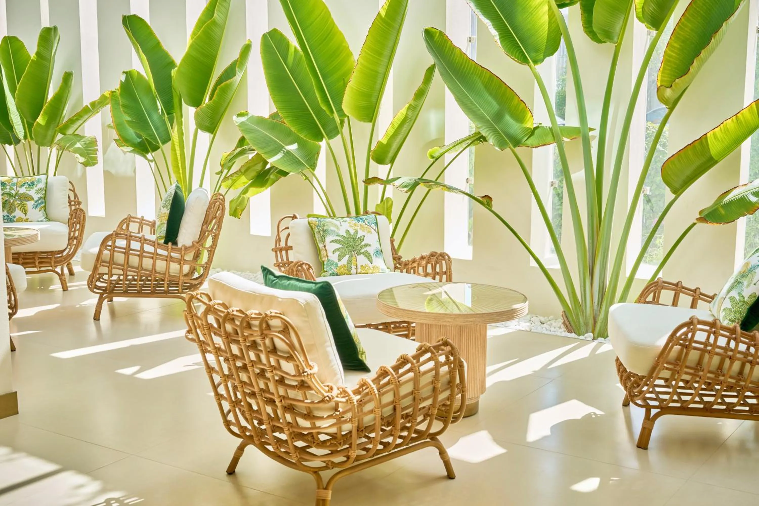 Garden in Palmyard Hotel