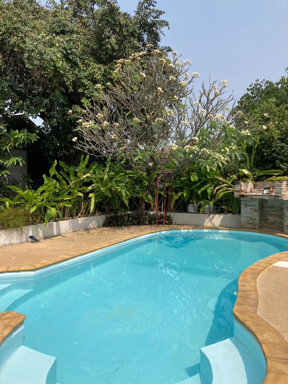 Swimming pool in Wiriya House