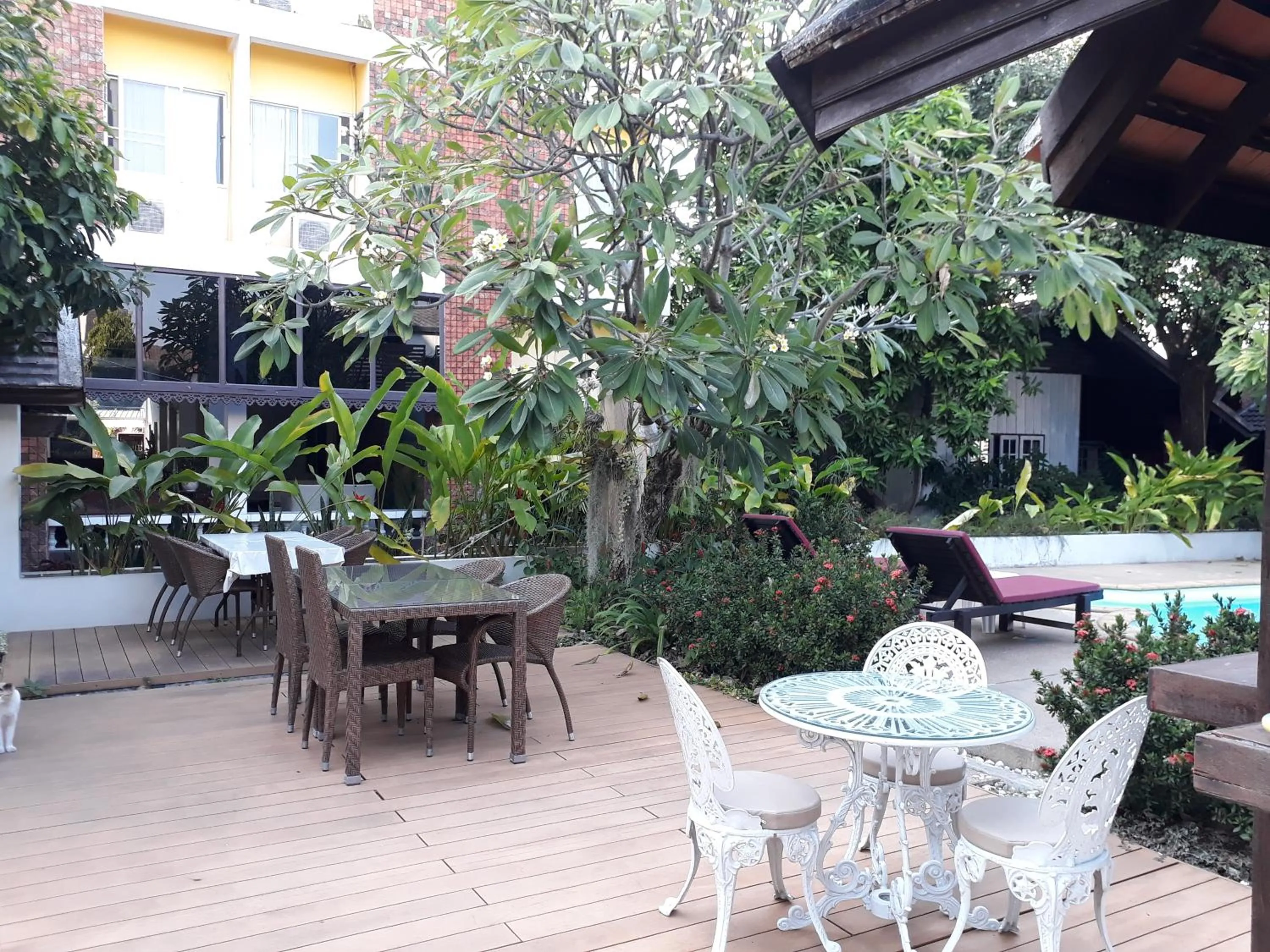 Garden in Wiriya House