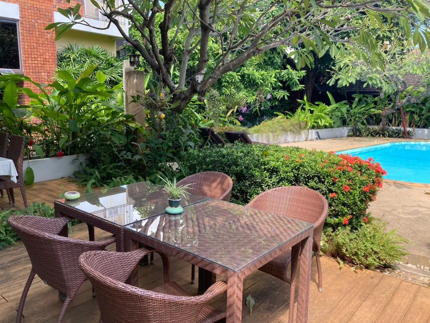 Garden in Wiriya House