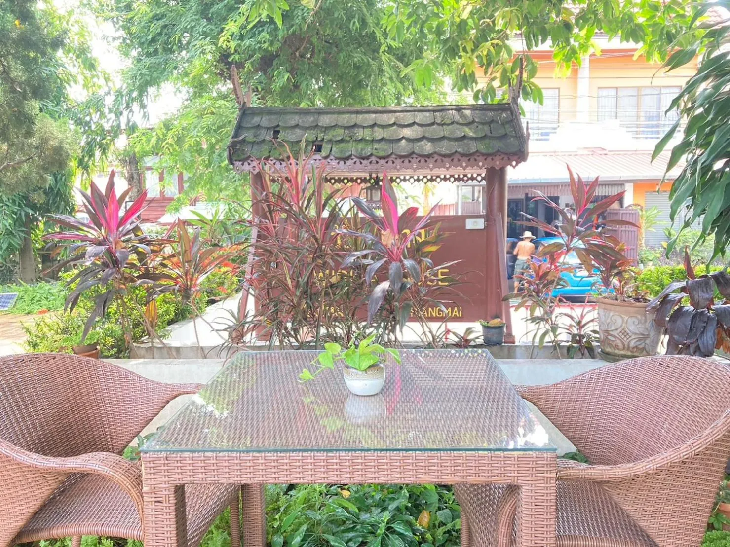 Garden in Wiriya House