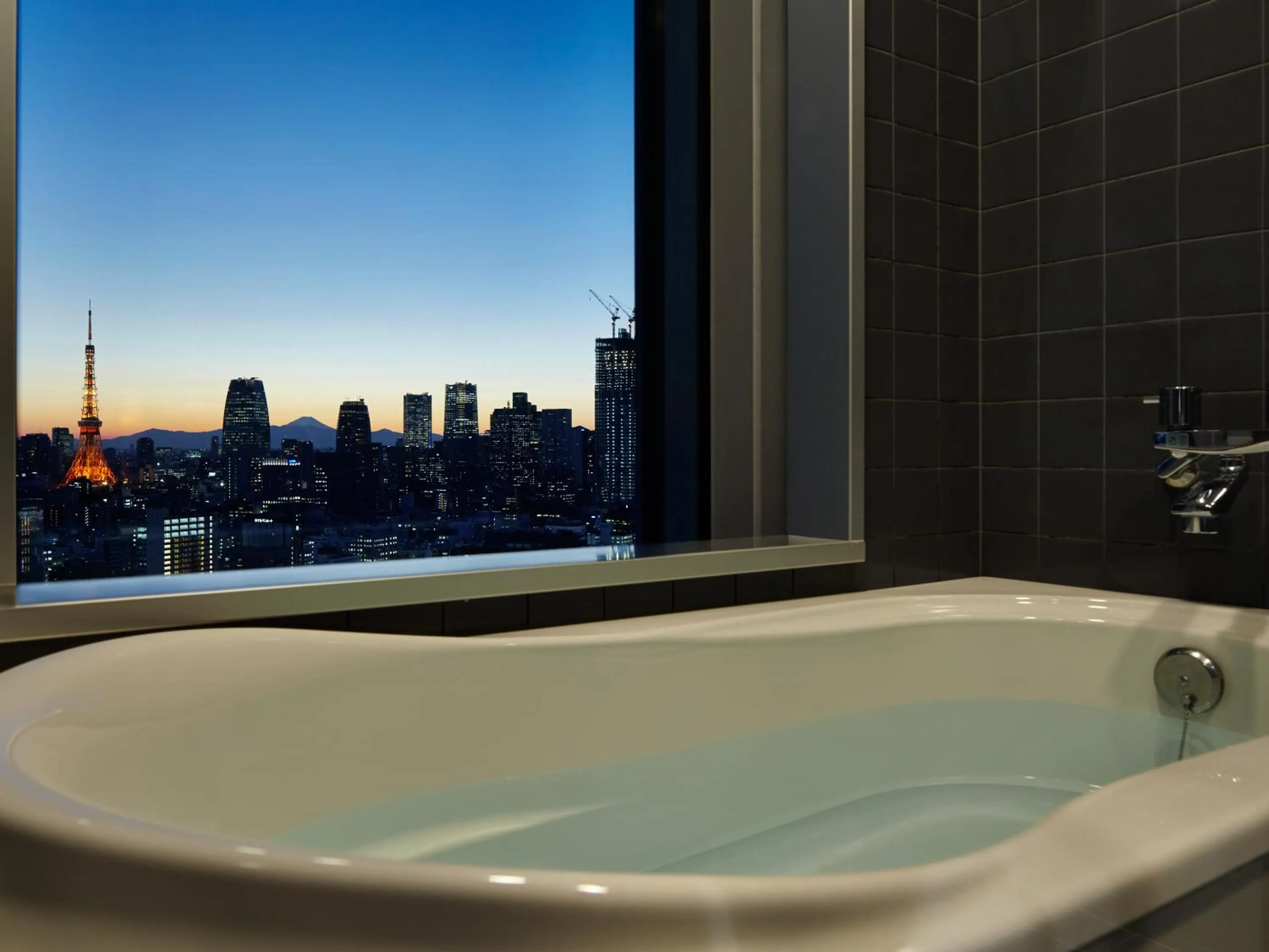 View (from property/room) in Mitsui Garden Hotel Ginza Premier