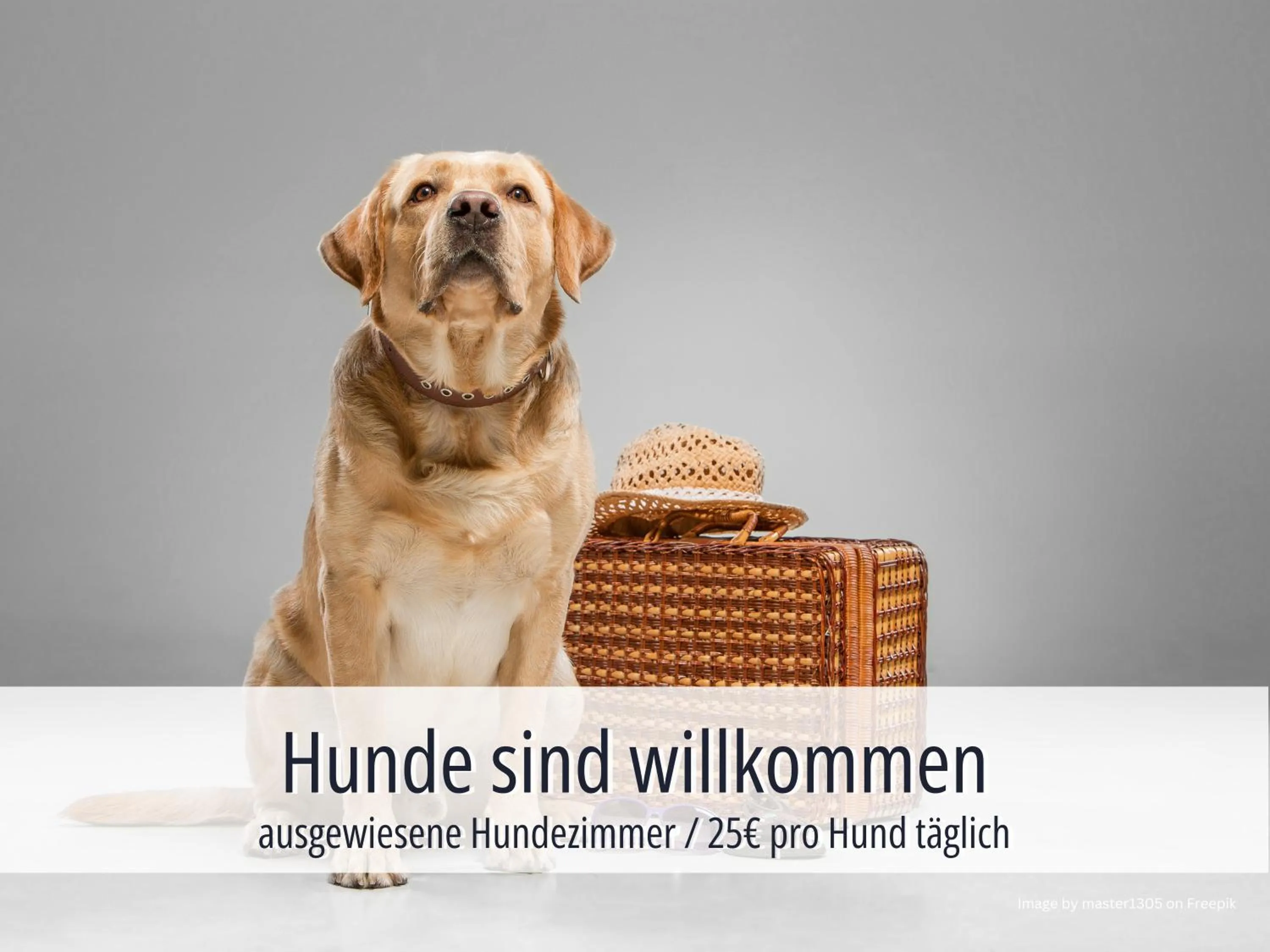 Hotel Am Kurhaus mit erstem Ayurveda Center Sachsens - direkt am Gesundheitsbad ACTINON & Kurpark