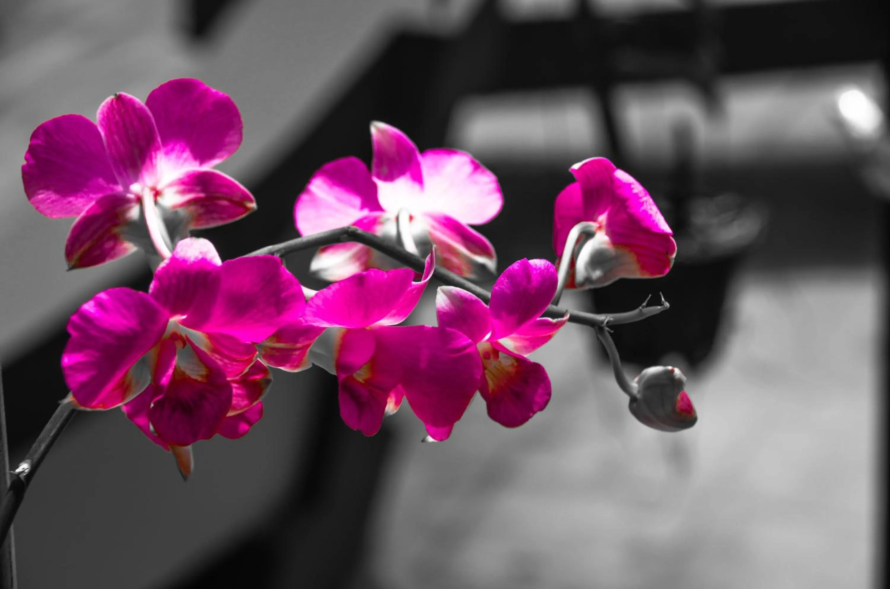 Property building in Coco Bungalows Hoi An