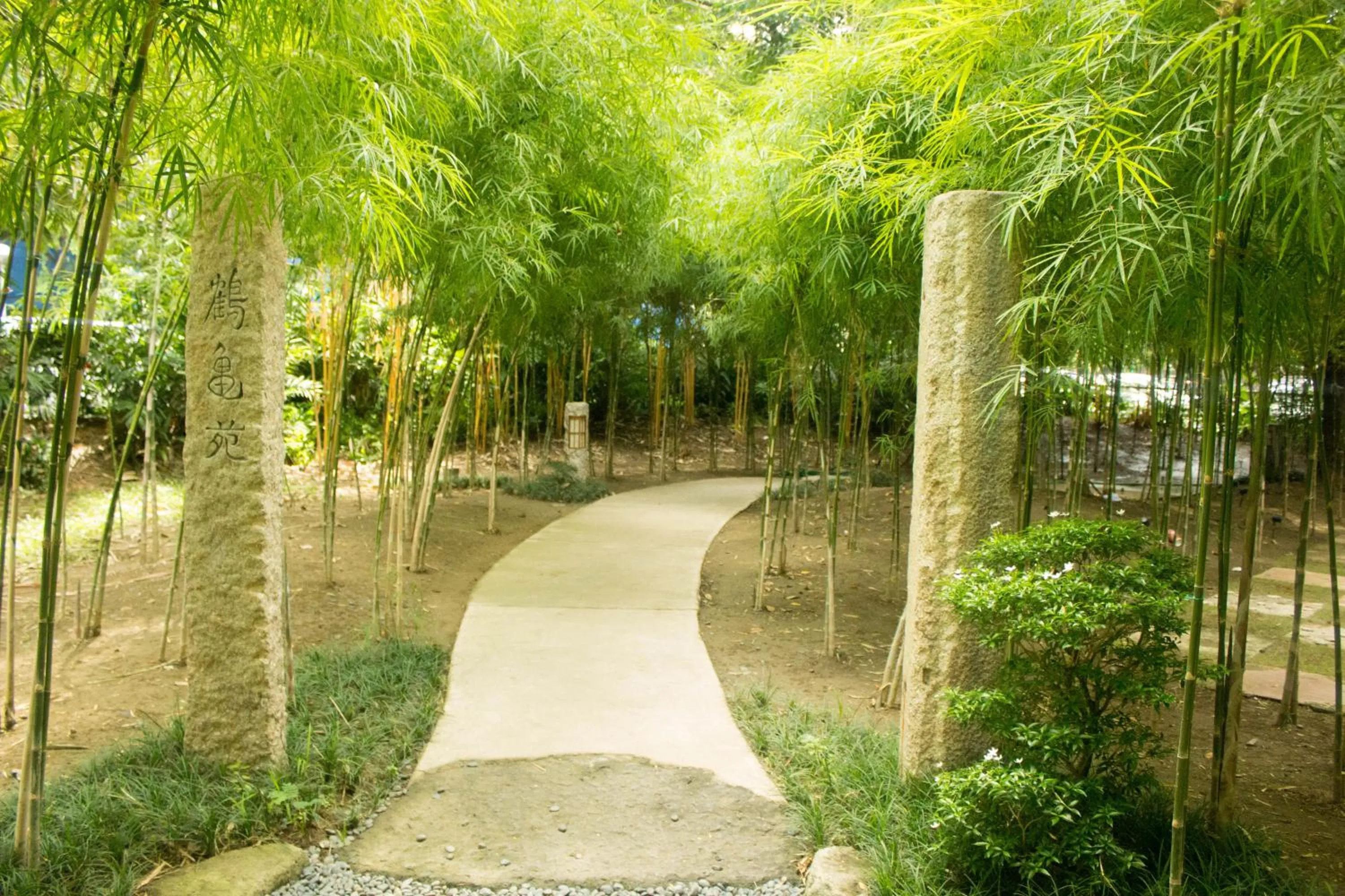 Natural landscape in KL Executive Greenbelt (KLX)