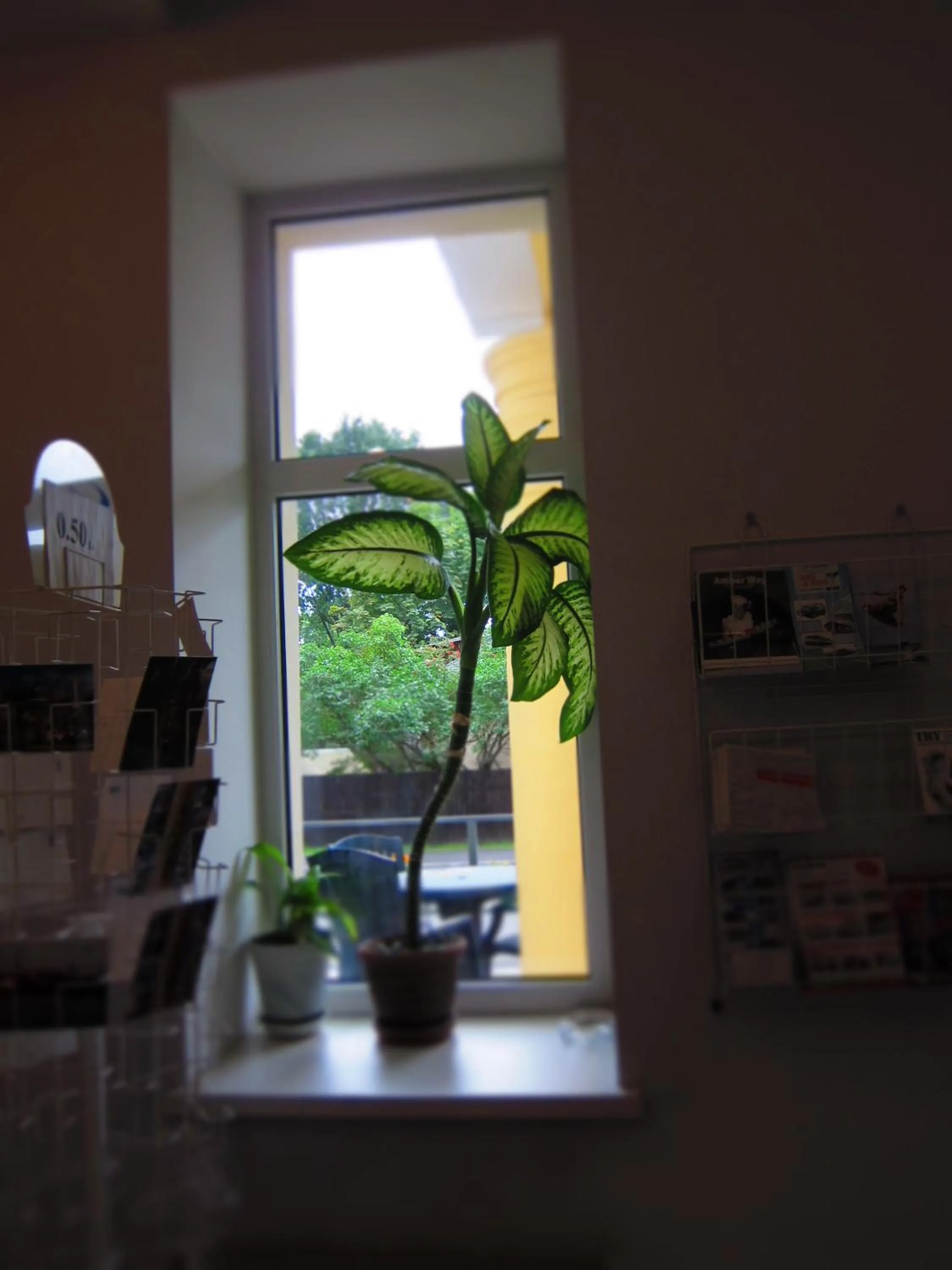 Lobby or reception in Hotel Vilmaja