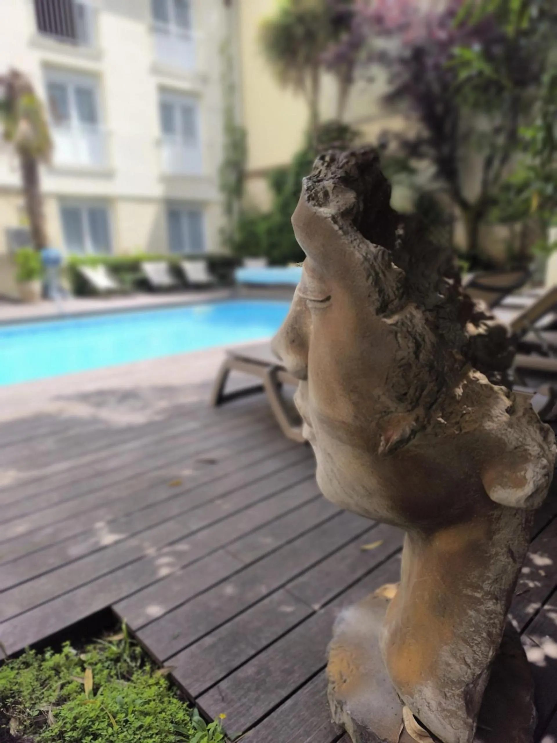 Swimming pool in Hotel de France