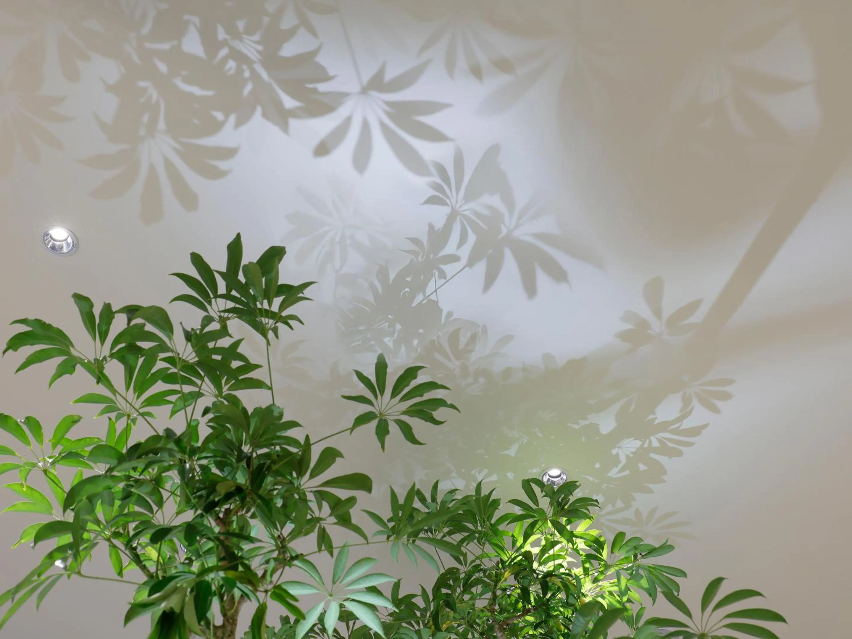 Lobby or reception in Mitsui Garden Hotel Sapporo