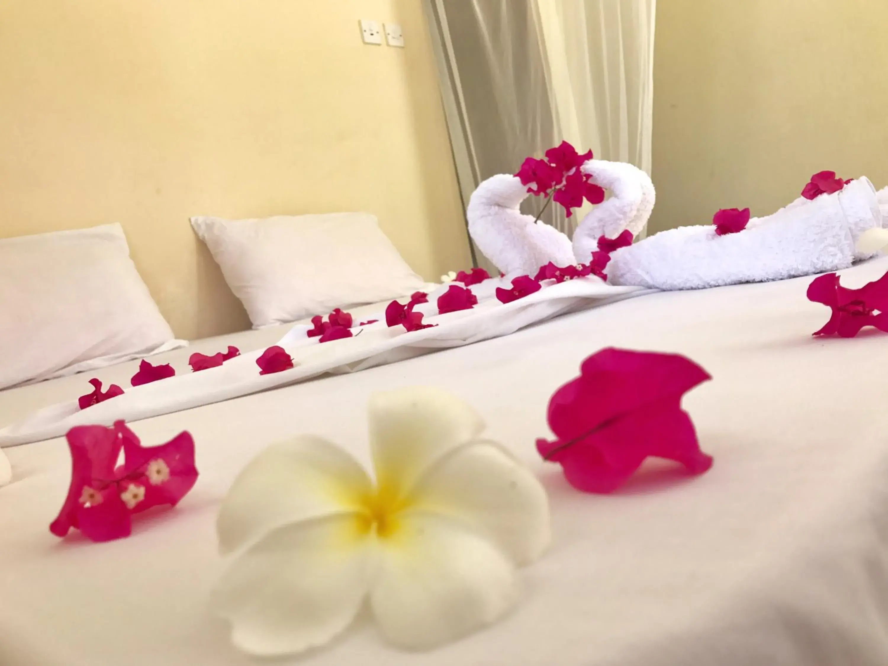 Double Room with Garden View in Blue Earth Beach Bungalow Double Room with Garden View in Blue Earth Beach Bungalow