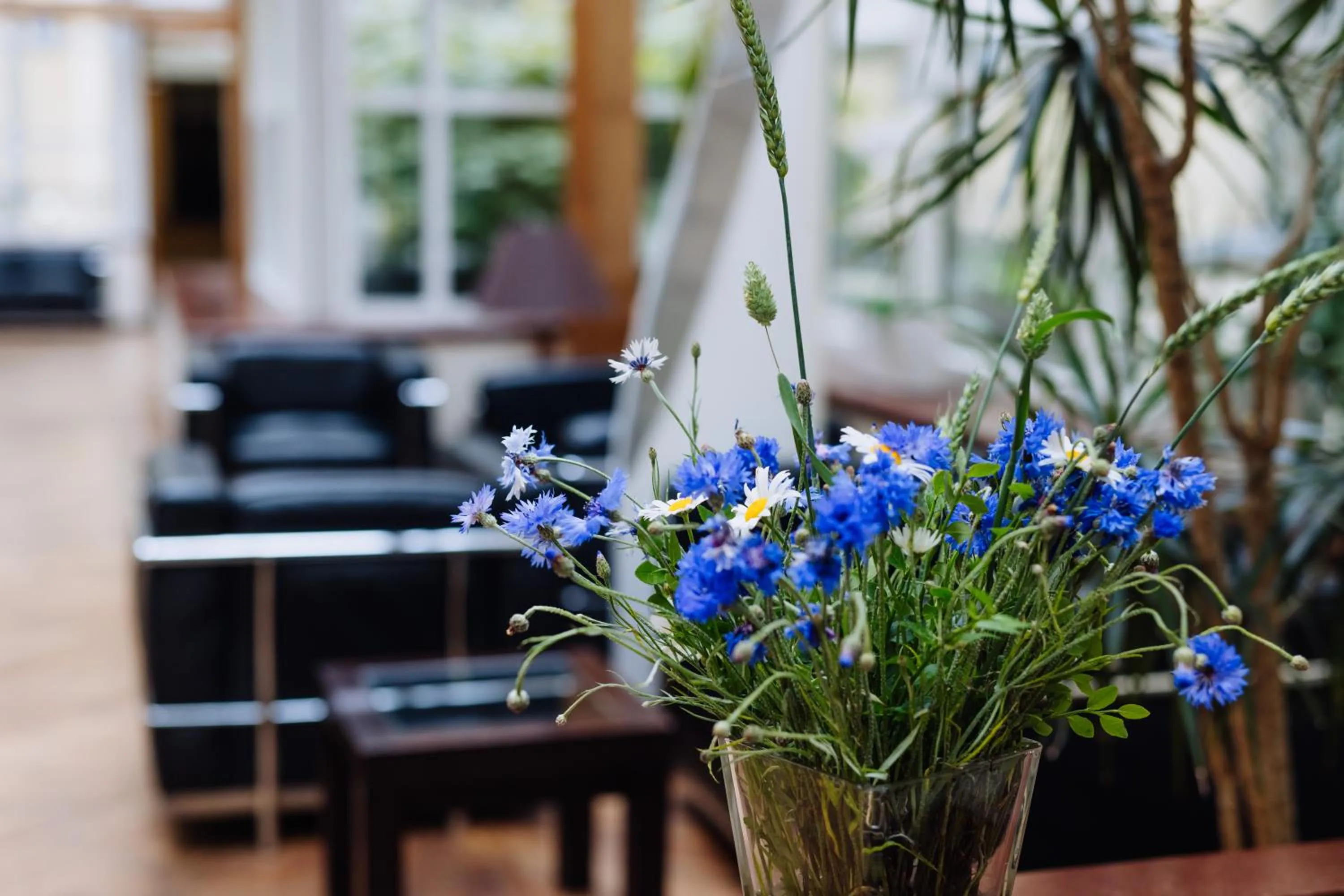 Lobby or reception in Hestia Hotel Jugend