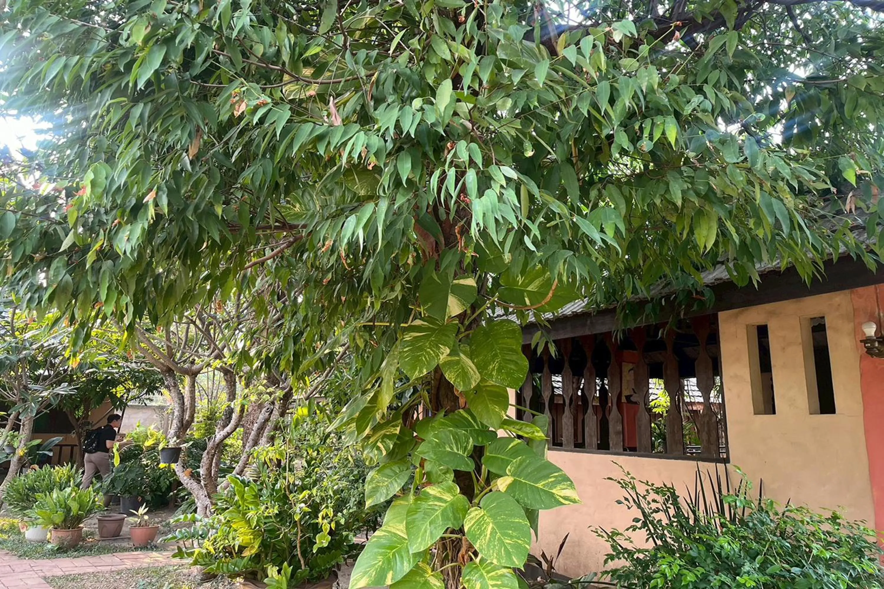 Property building in The Royal Shilton Resort