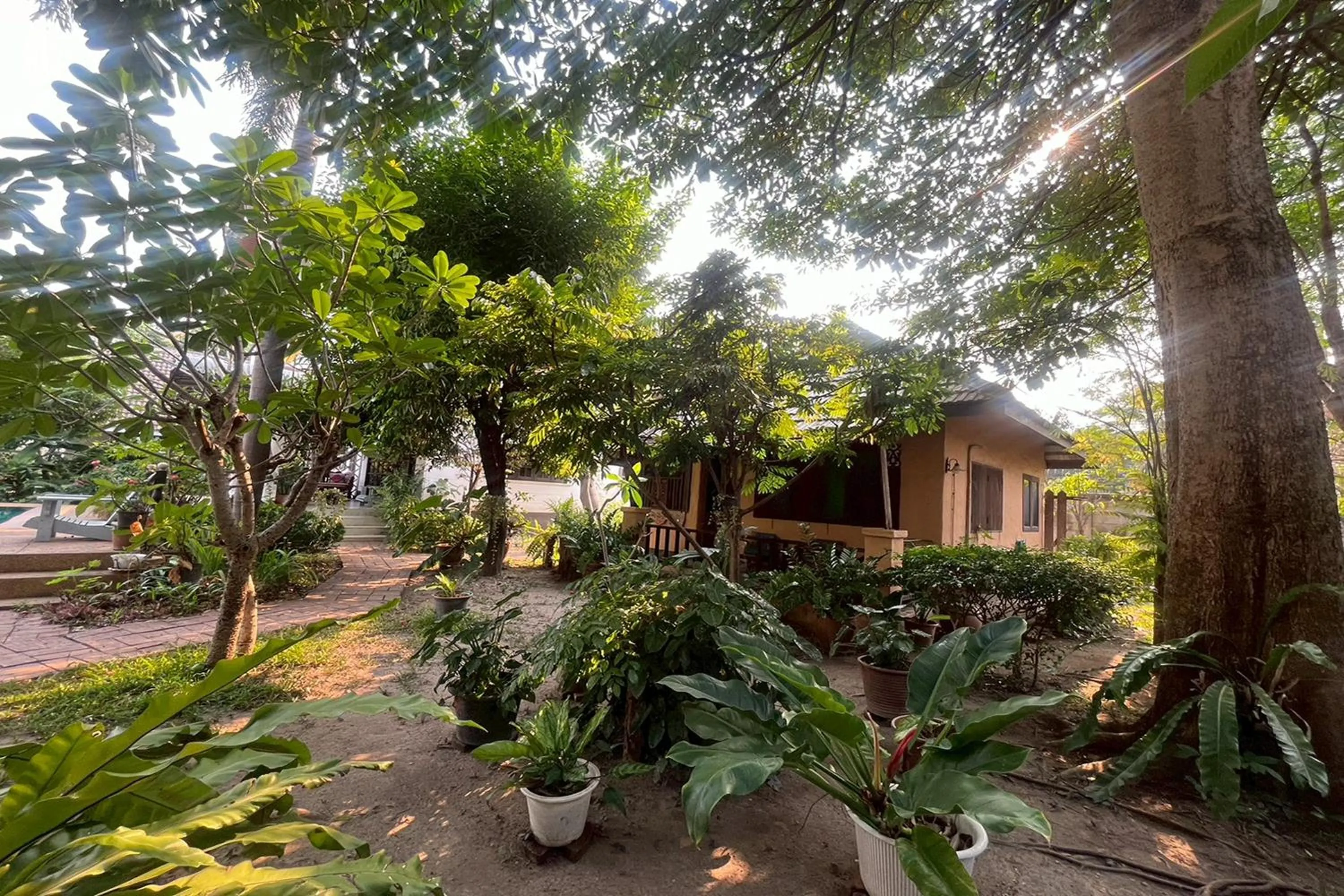 Property building in The Royal Shilton Resort