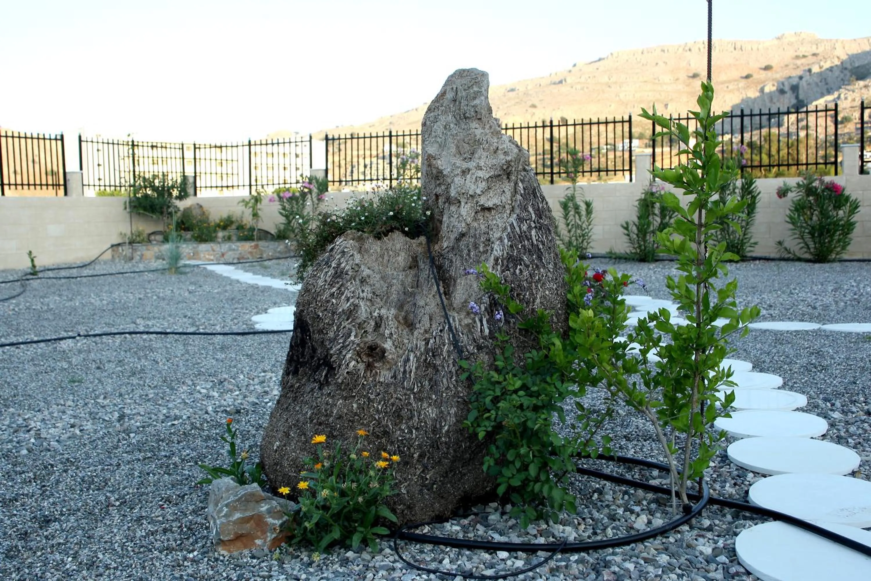 Garden in Vlycha Beach Apartments