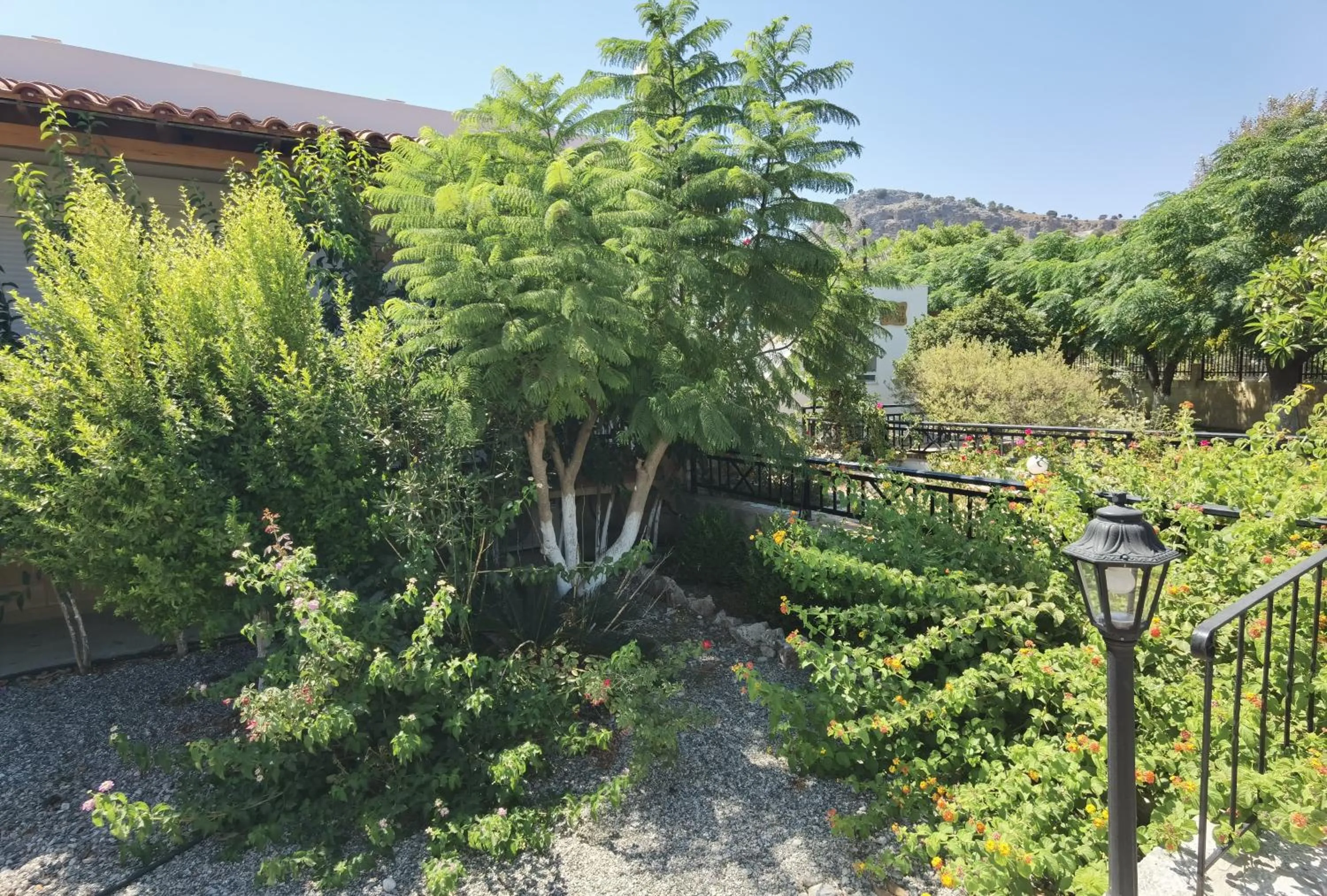 Garden in Vlycha Beach Apartments
