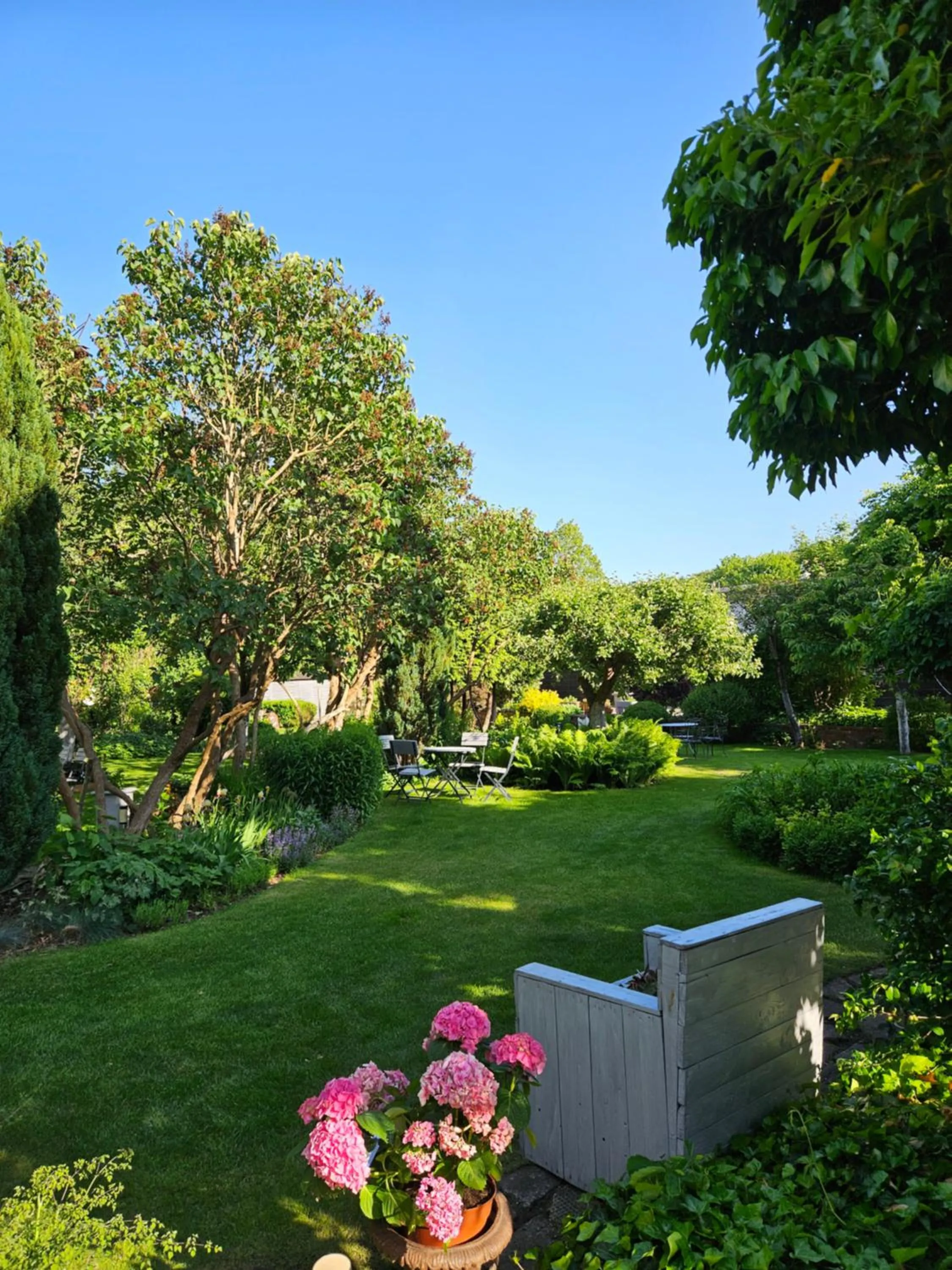 Garden in Hotel Marmułowski