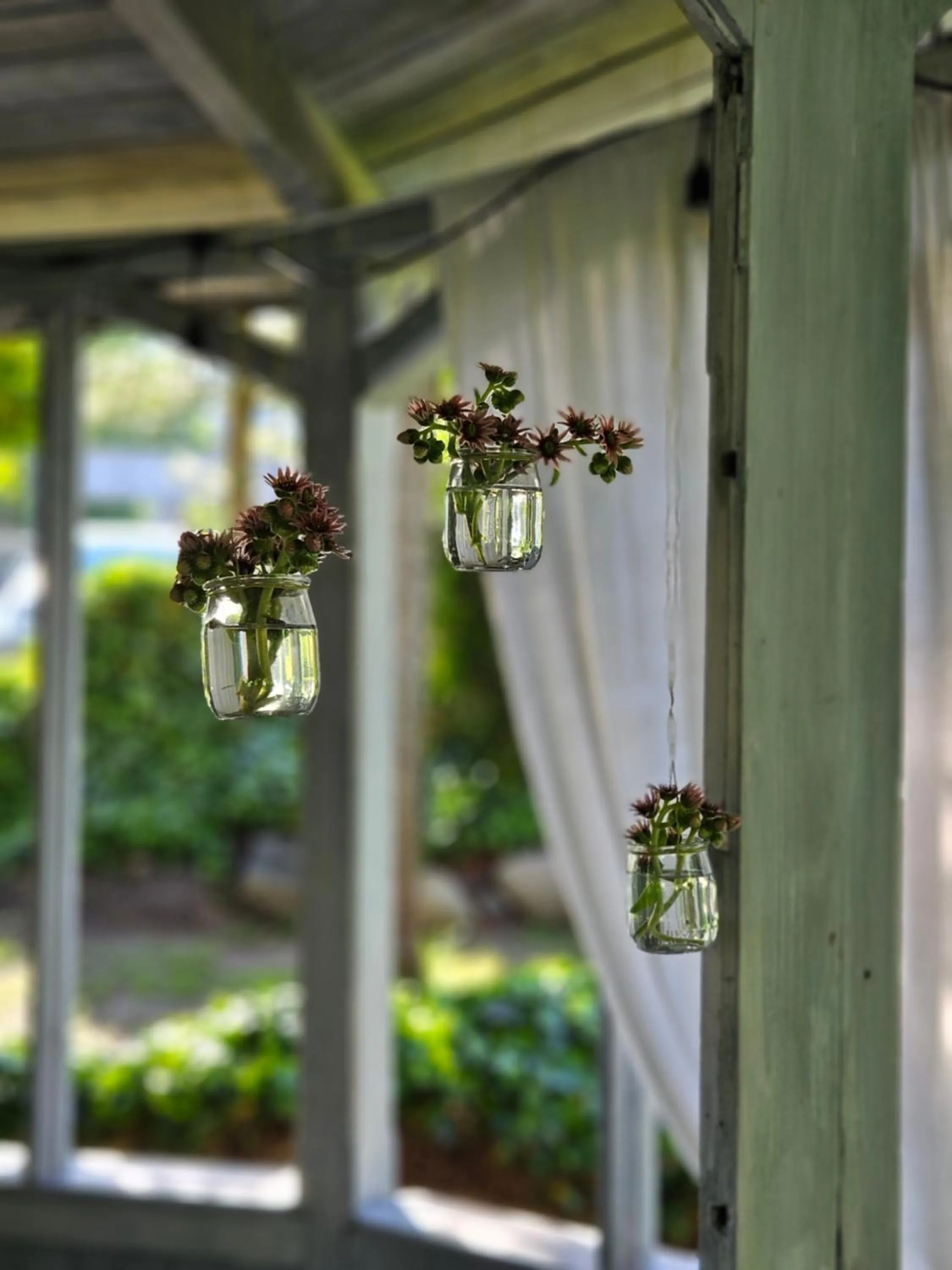 Garden in Hotel Marmułowski