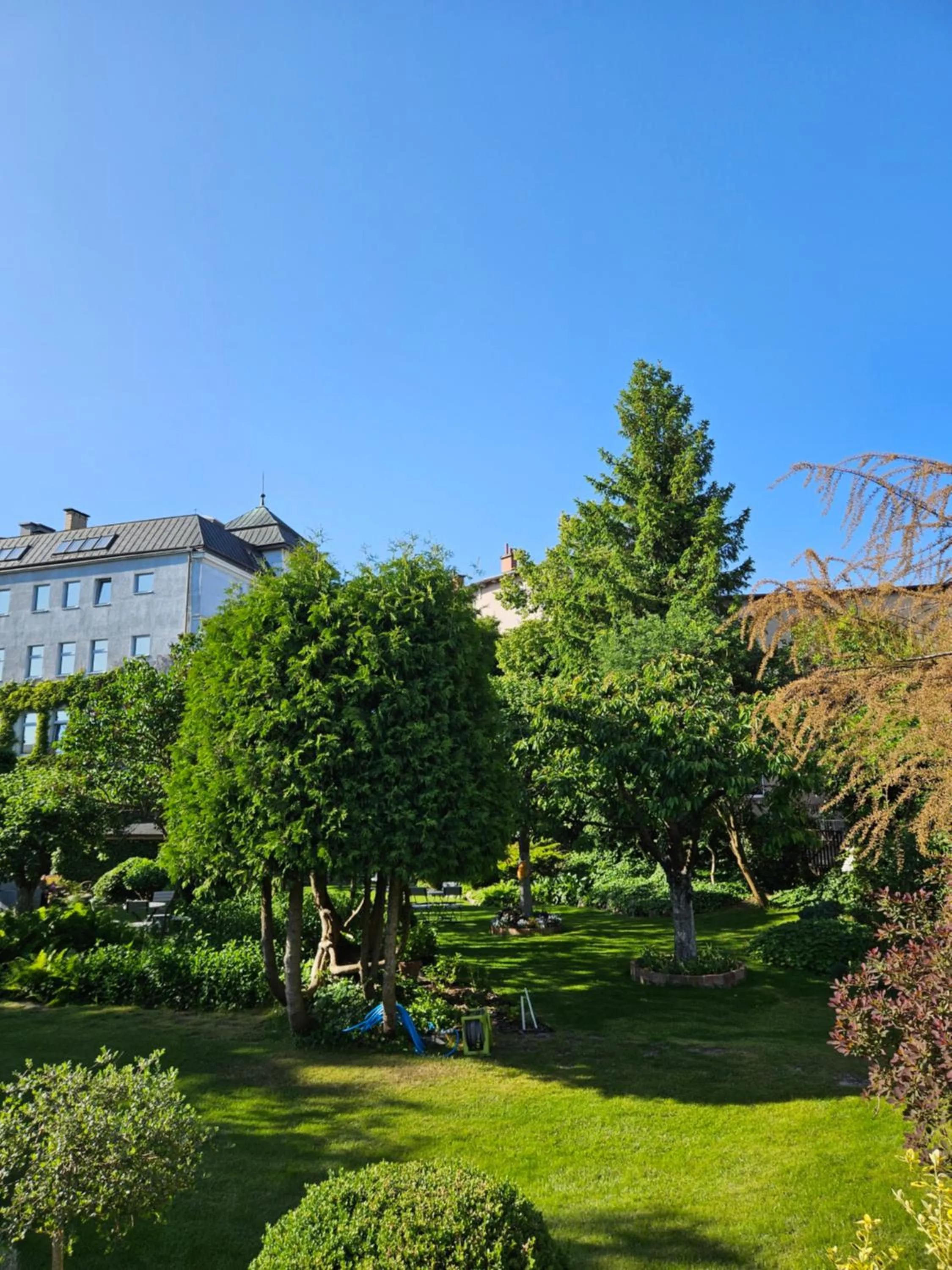 Garden in Hotel Marmułowski