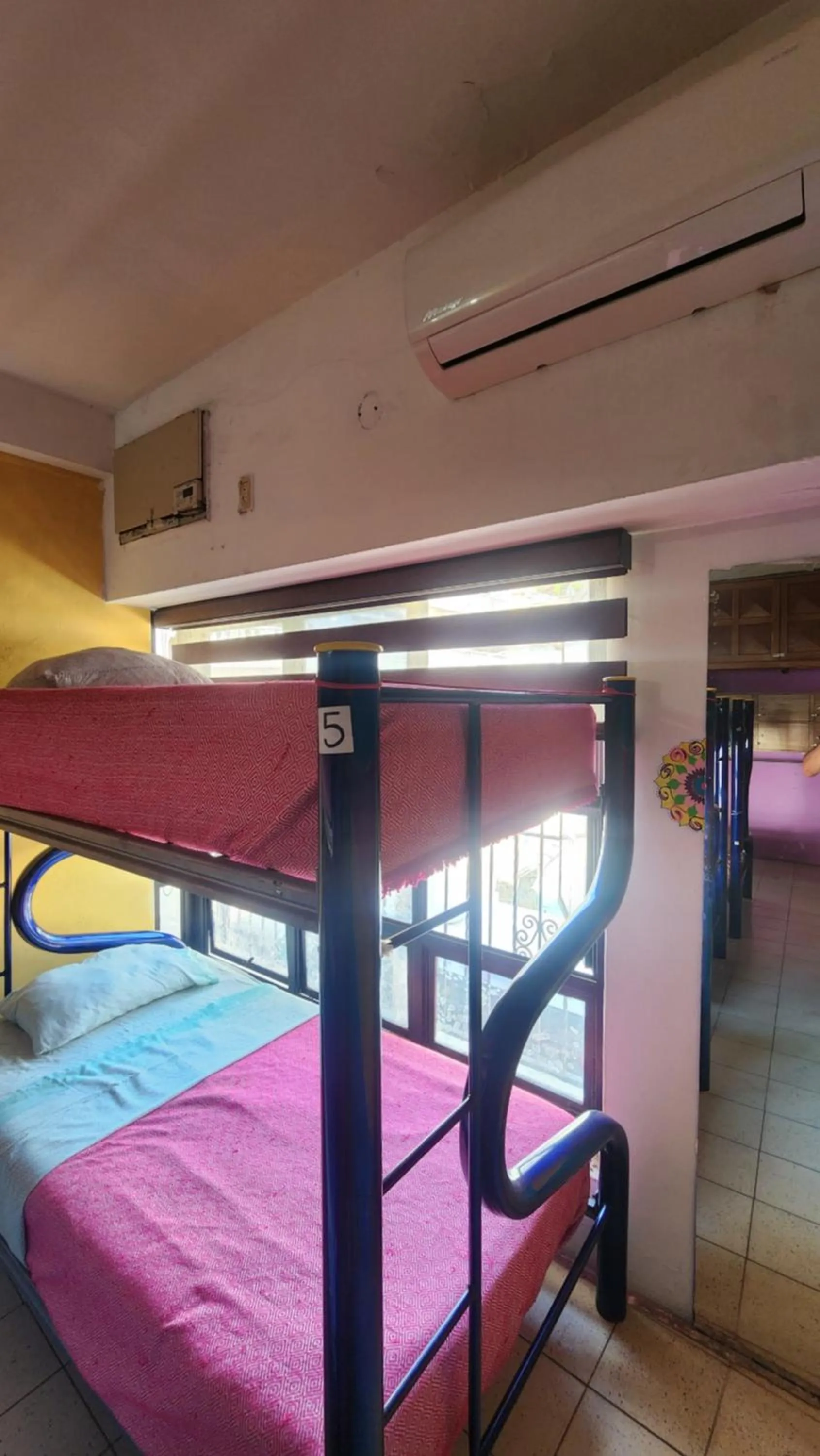 Bed in Hostel Vallarta