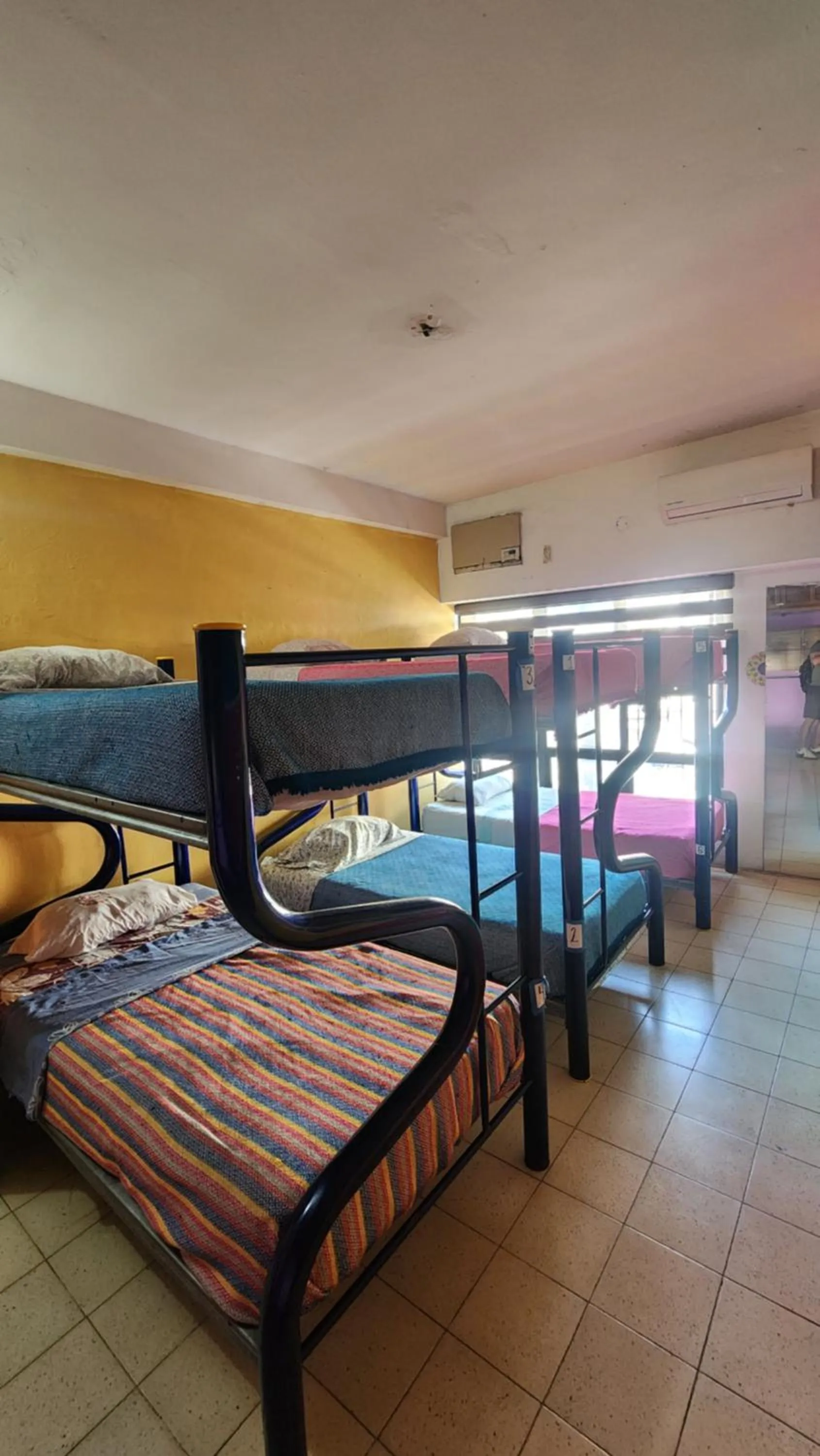 Bed in Hostel Vallarta