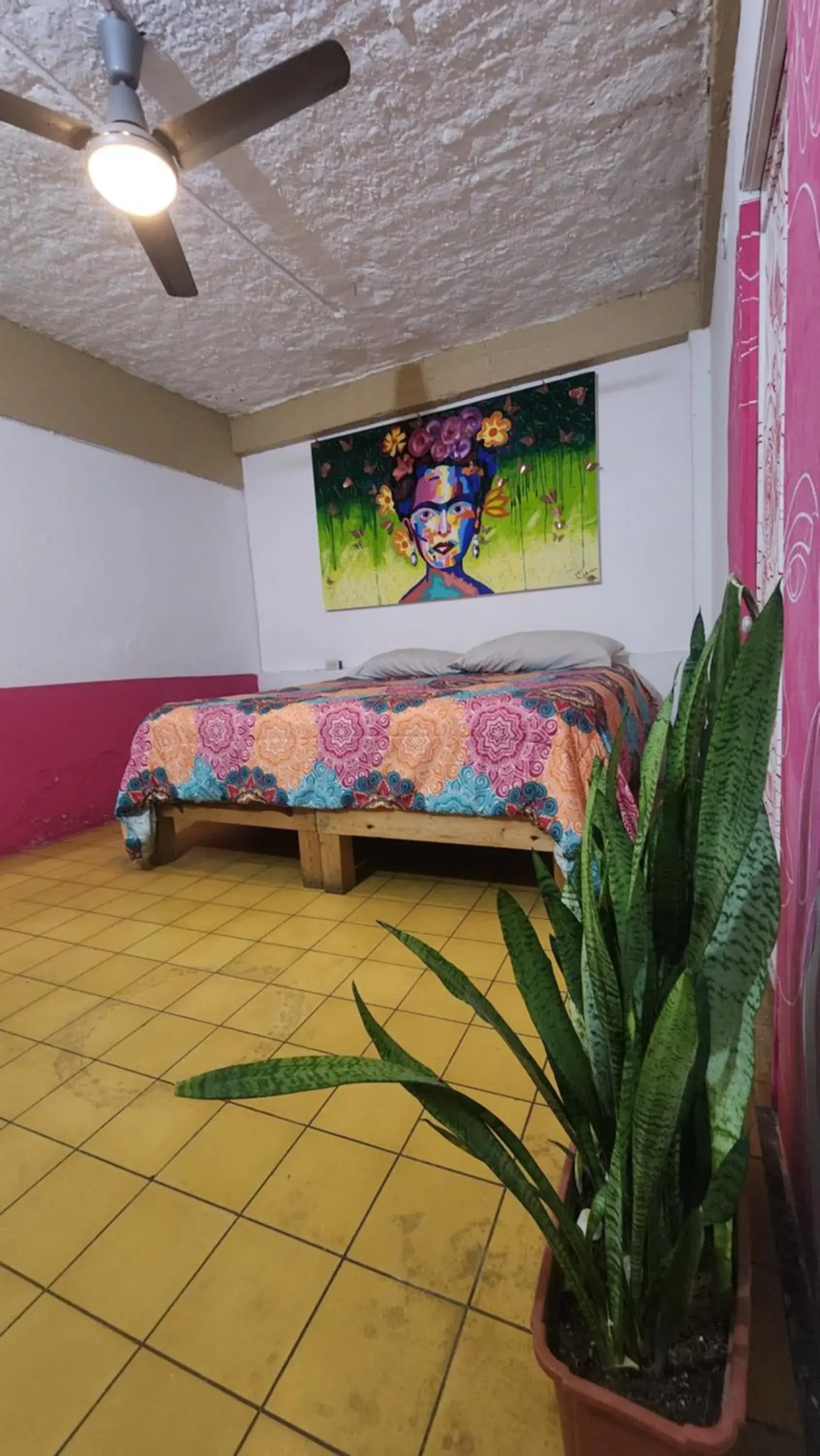 Double Room with Private Bathroom in Hostel Vallarta Double Room with Private Bathroom in Hostel Vallarta