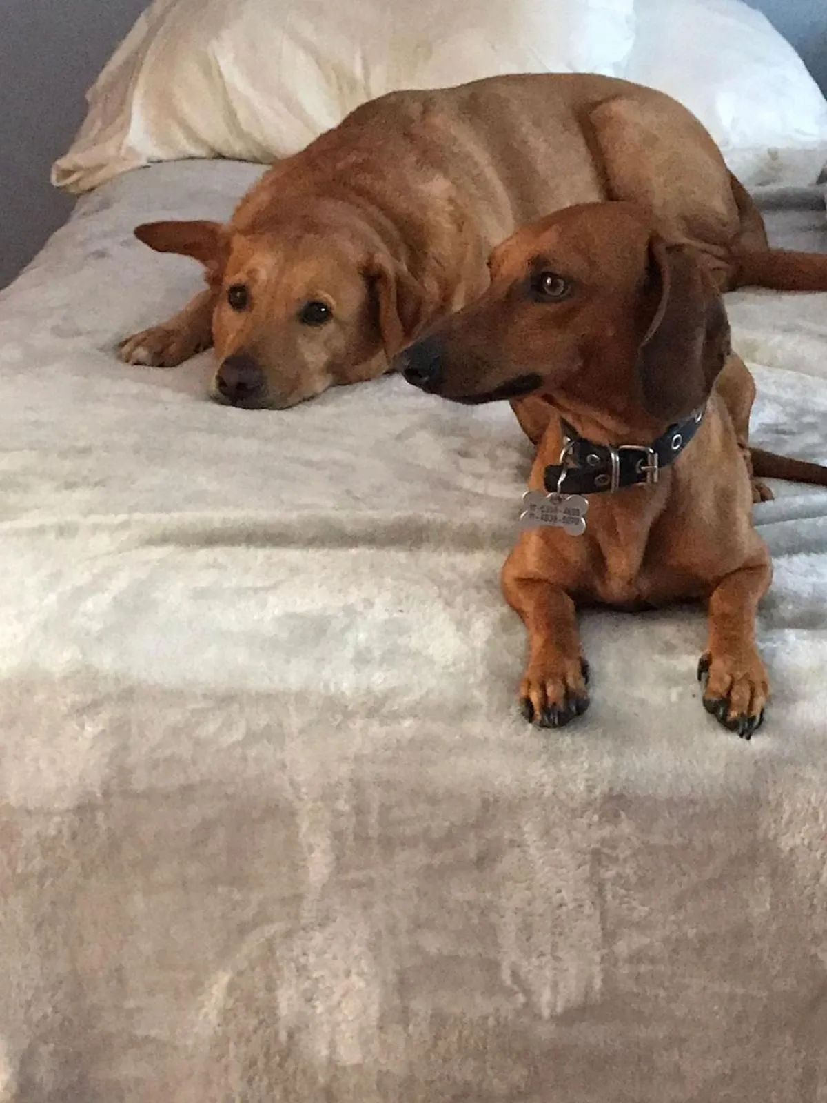 Golf Tower Suites & Apartments