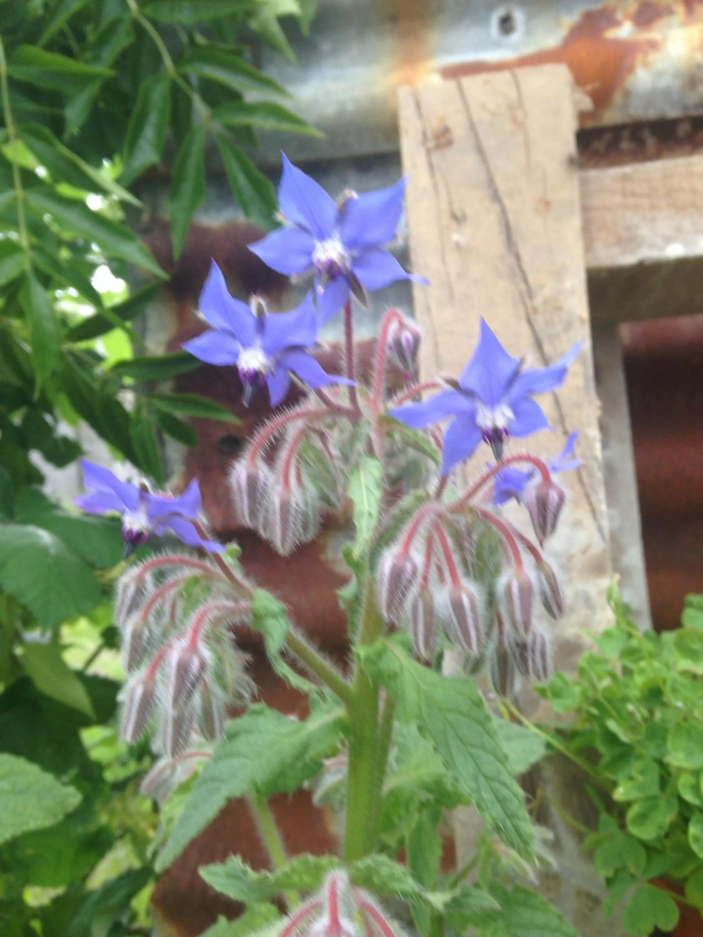 Other in Merlewood Hotel