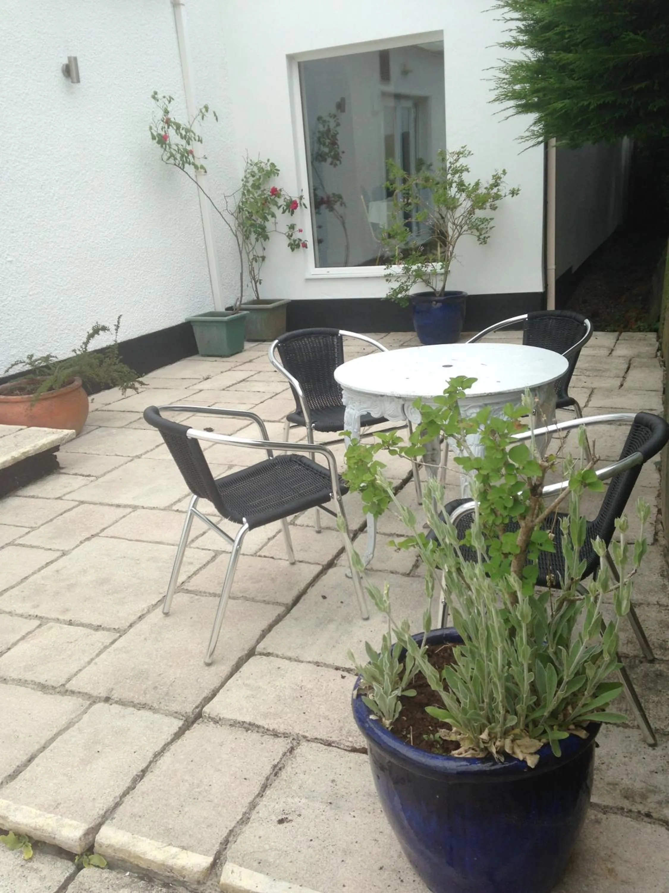 Patio in Merlewood Hotel