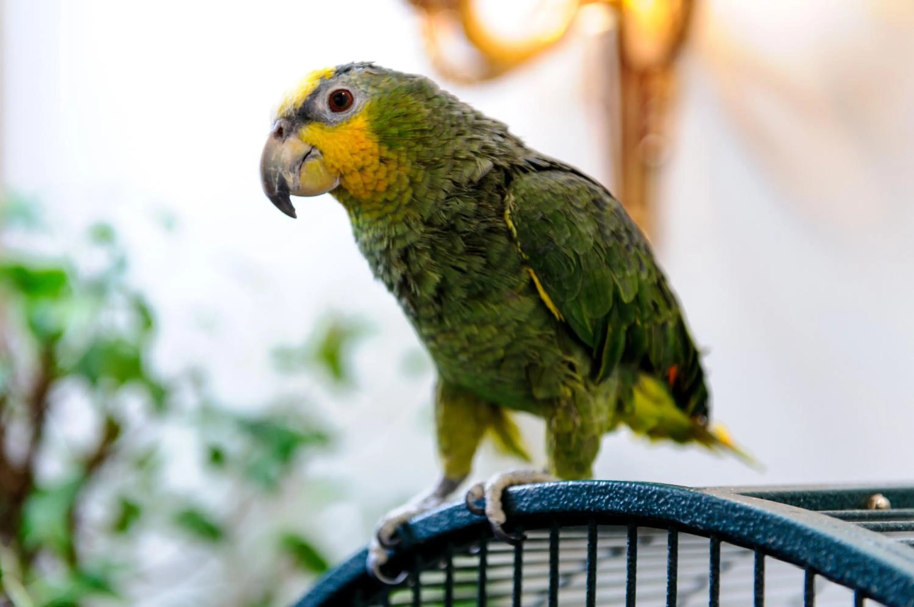 Restaurant/places to eat in Grand Palace Hotel - Small Luxury Hotels of the World