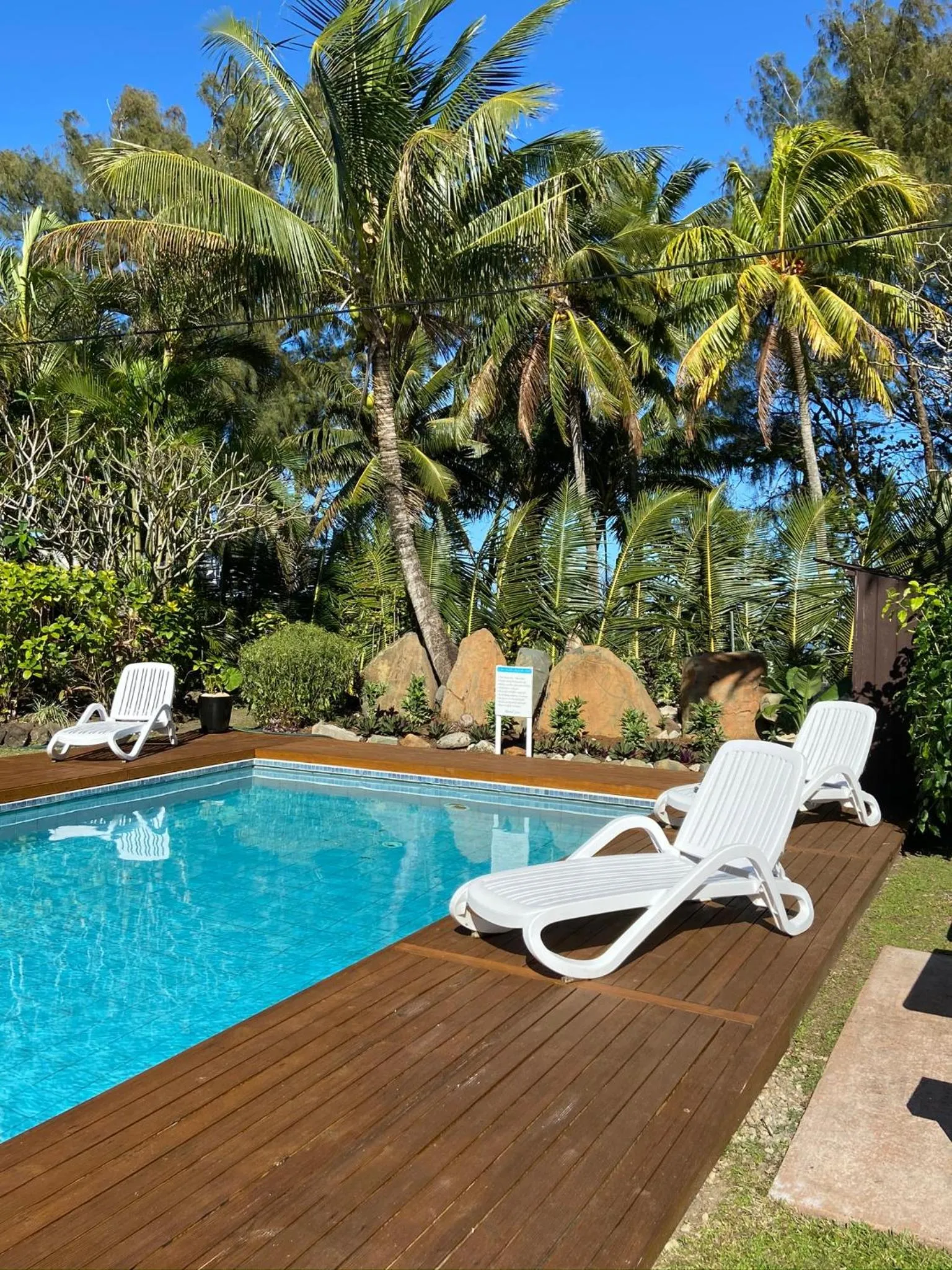 Garden in The Black Pearl Beachside Apartments