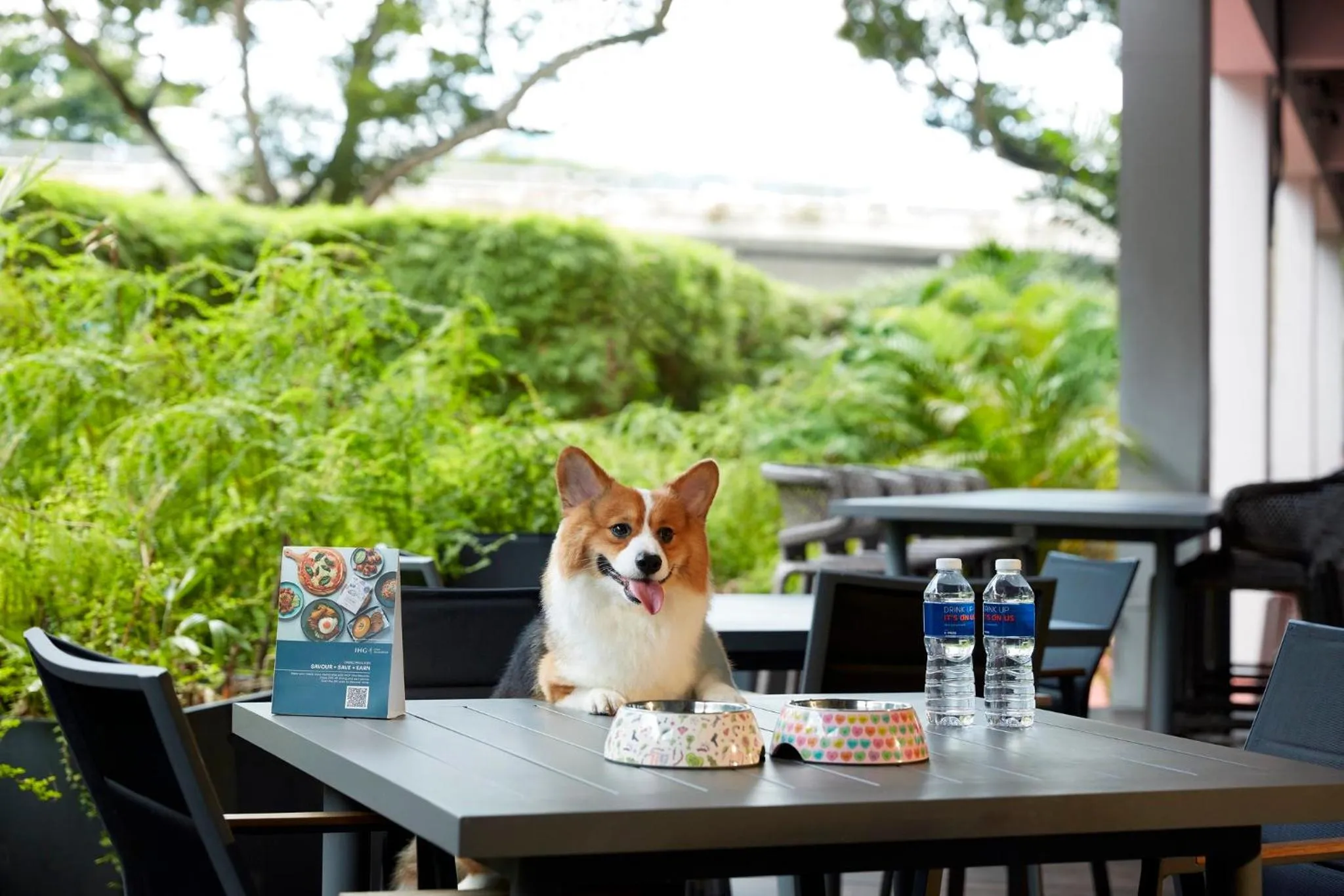 Restaurant/places to eat in Holiday Inn Express & Suites Singapore Novena by IHG