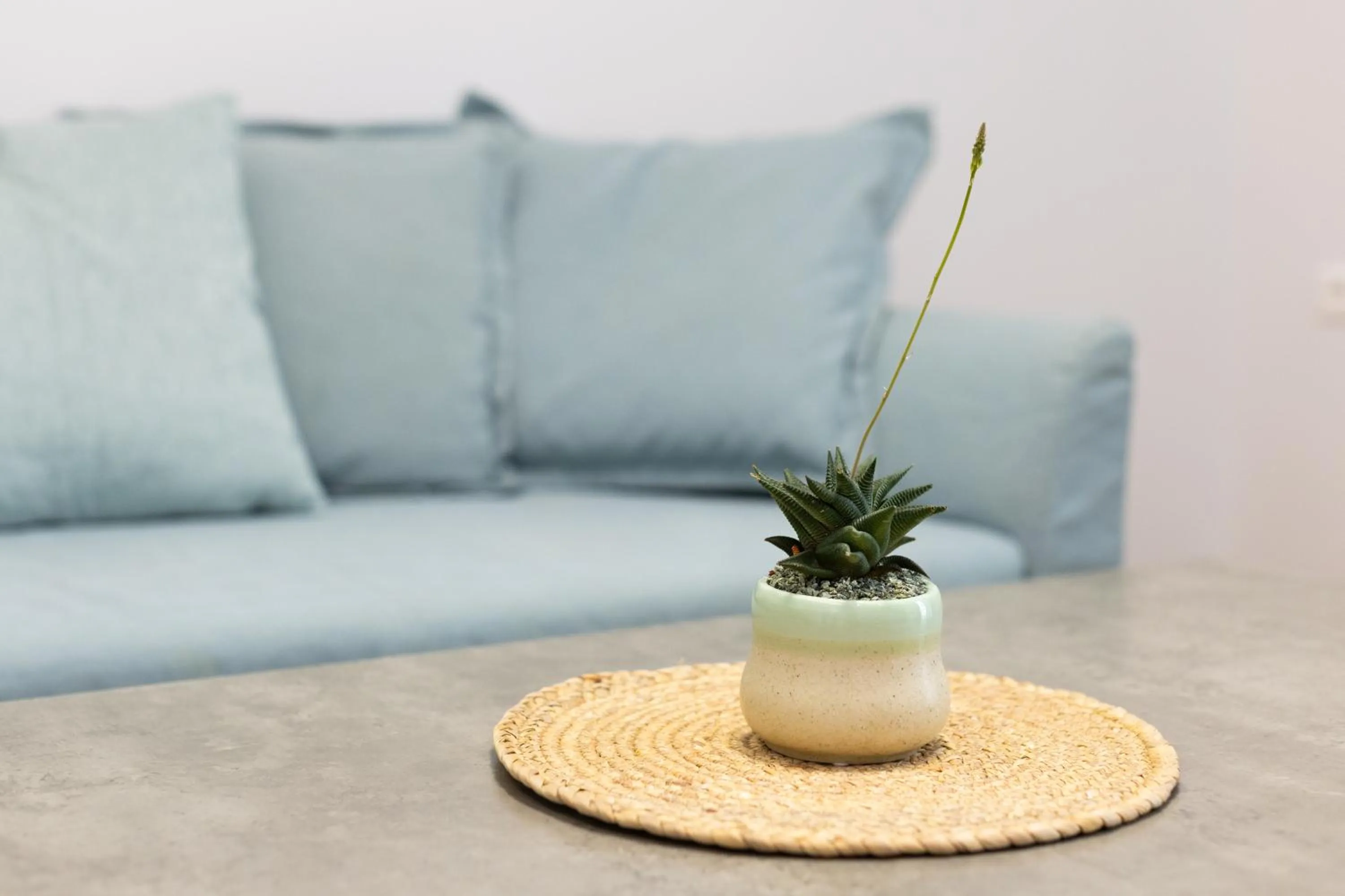 Living room in Apartments Historical Center