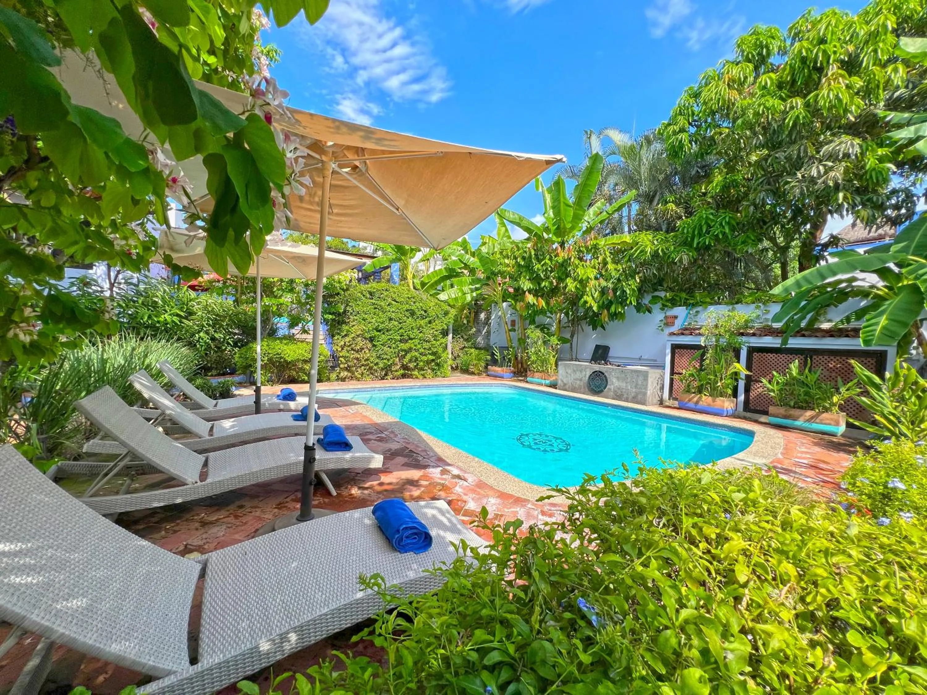 Garden in Casa Nawalli Pickleball Resort & Retreats Adults Only