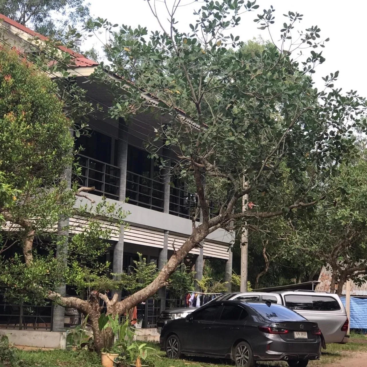 Garden in Water's House