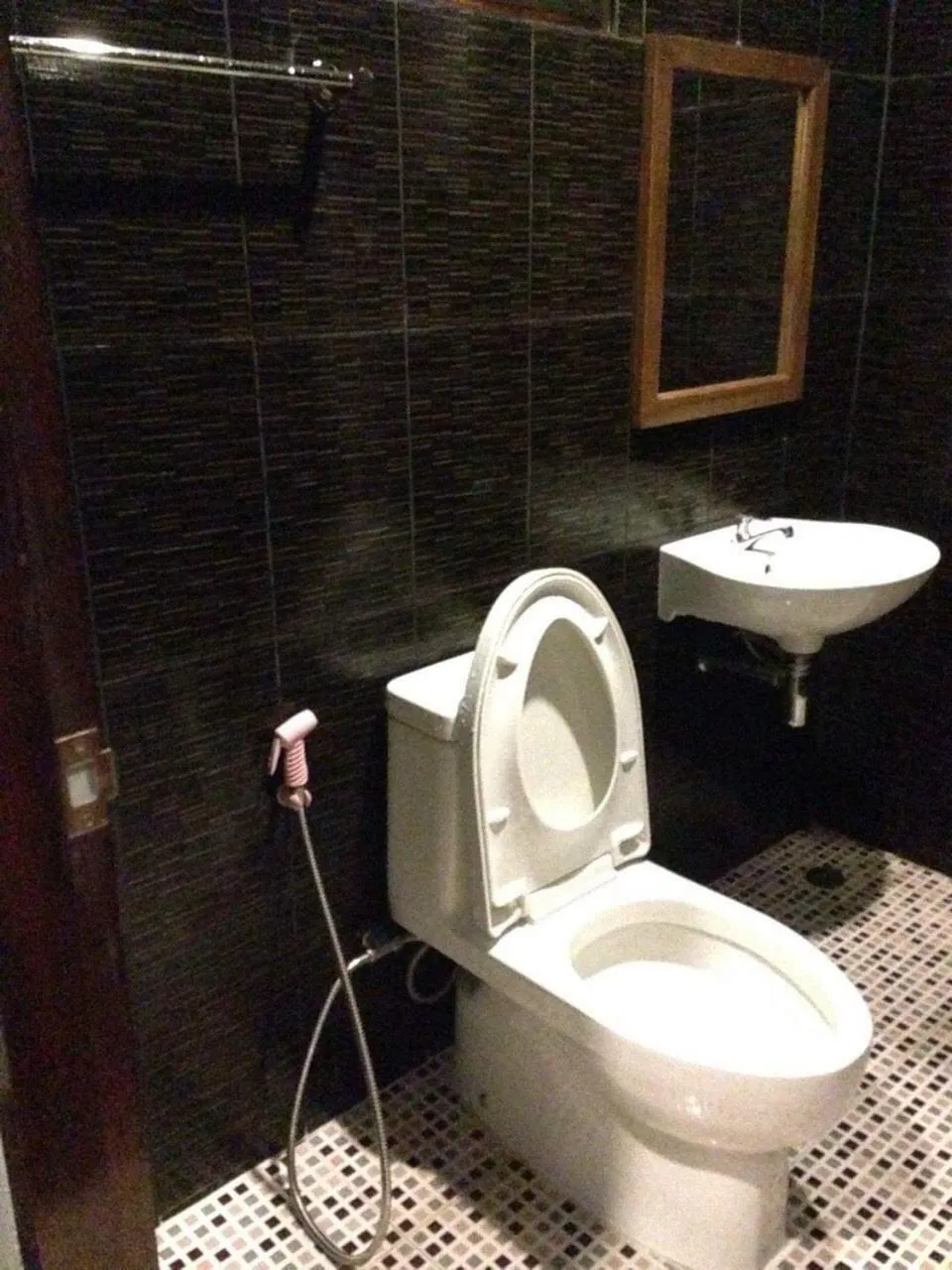 Toilet in Water's House