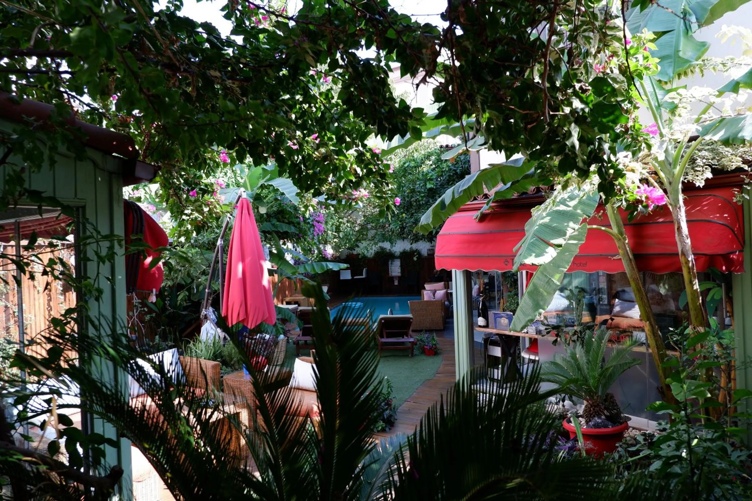 Garden in The Suite Apart Hotel