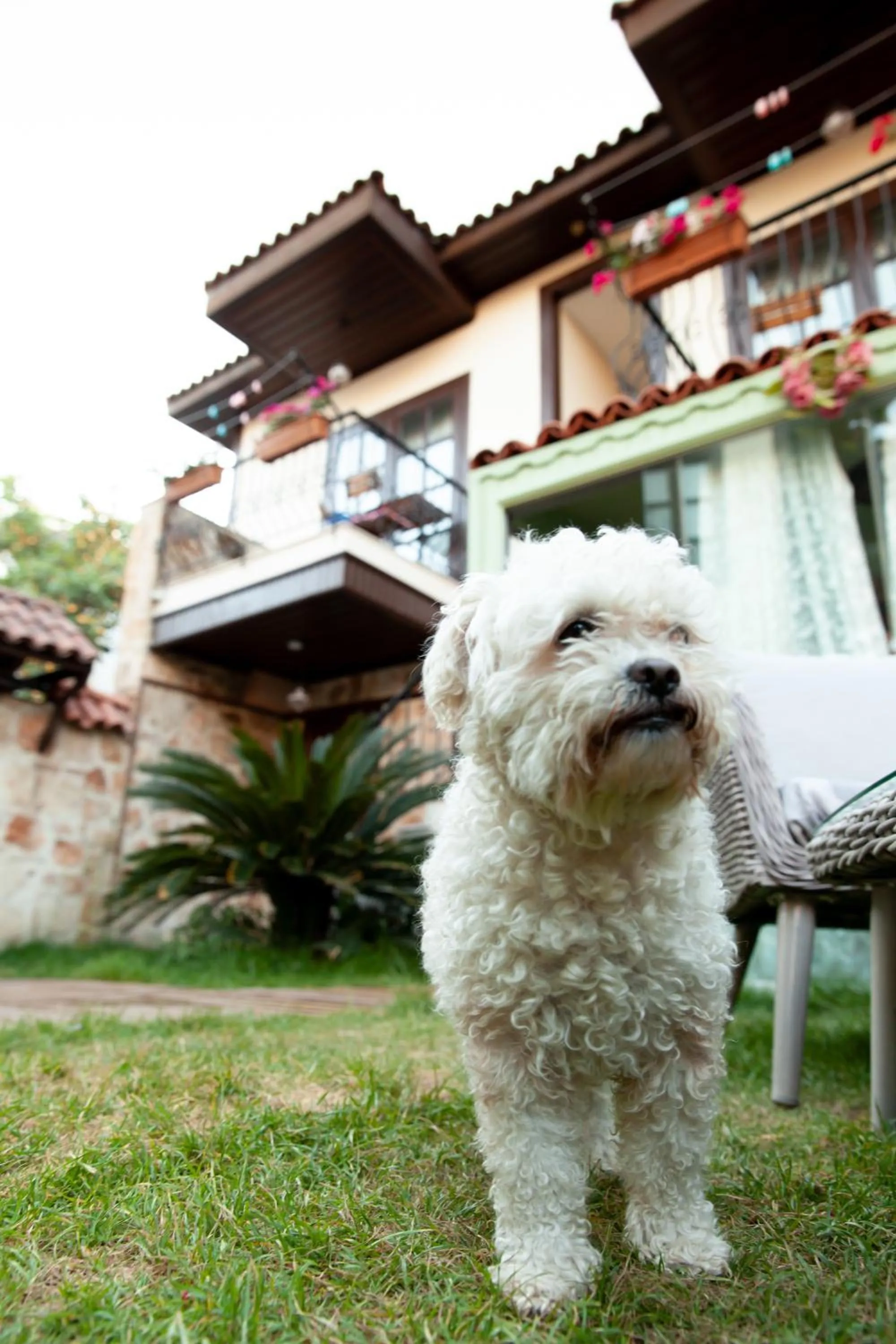 Property building in The Suite Apart Hotel