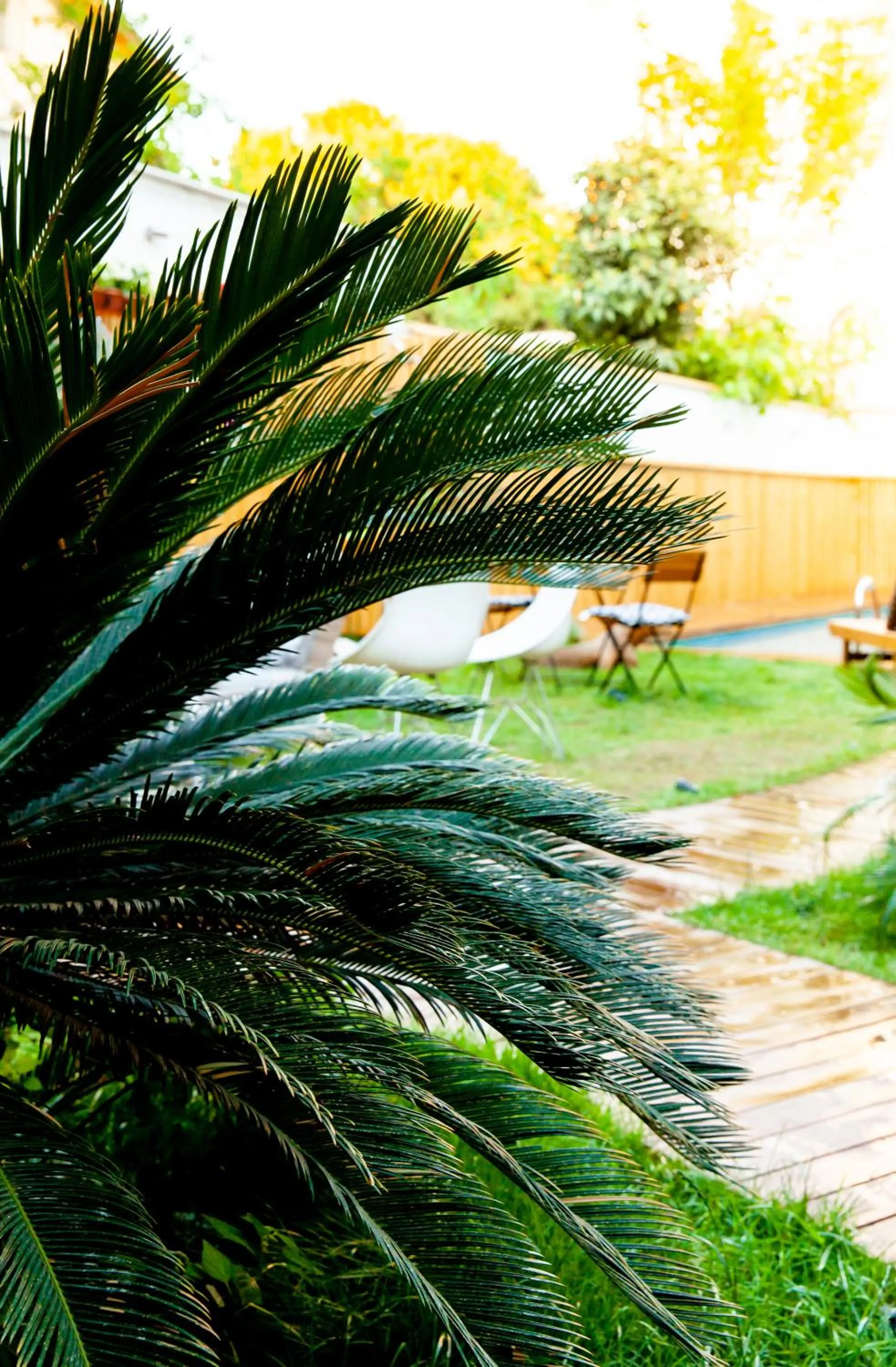 Natural landscape in The Suite Apart Hotel