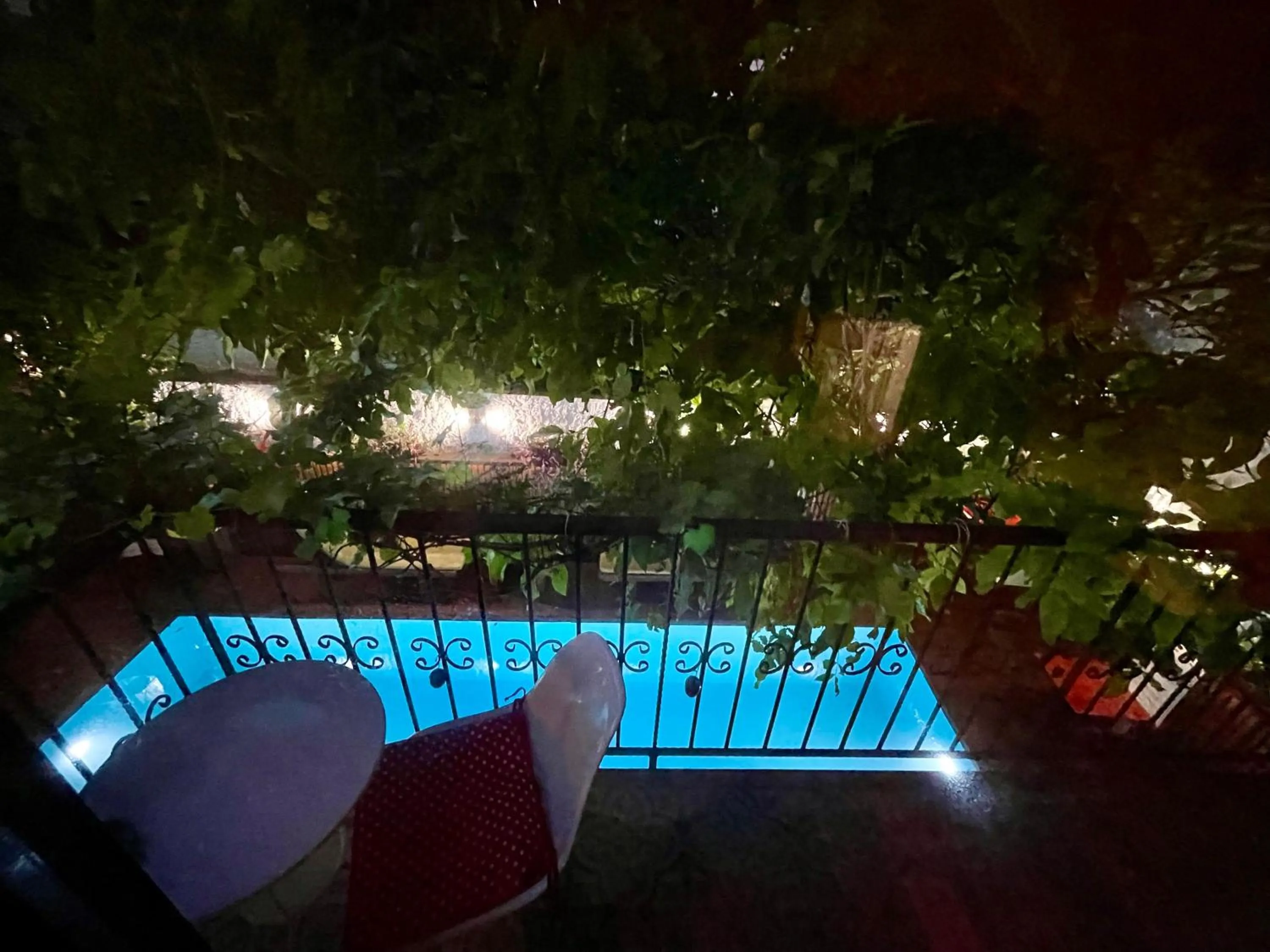 Garden view in The Suite Apart Hotel