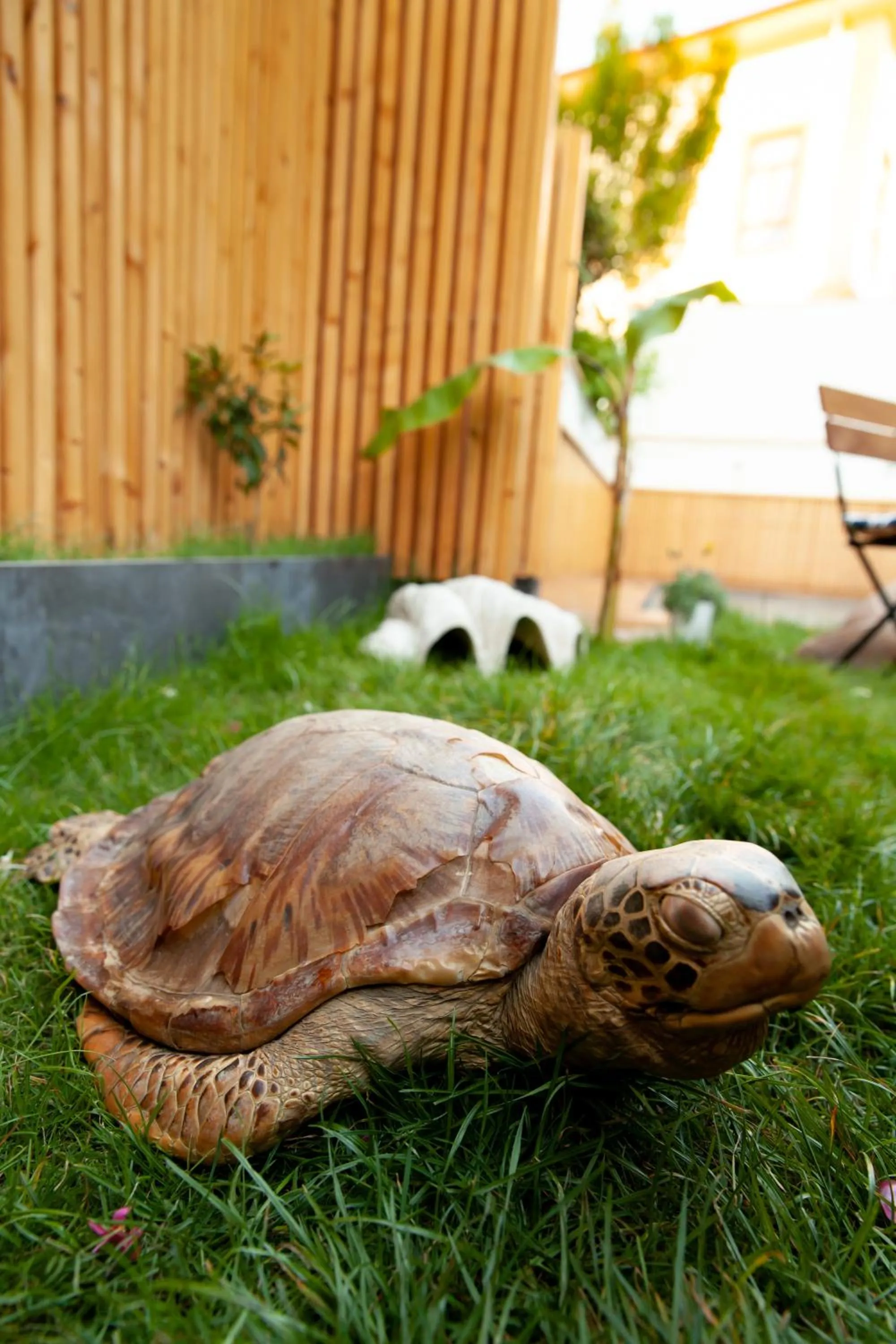 Facade/entrance in The Suite Apart Hotel