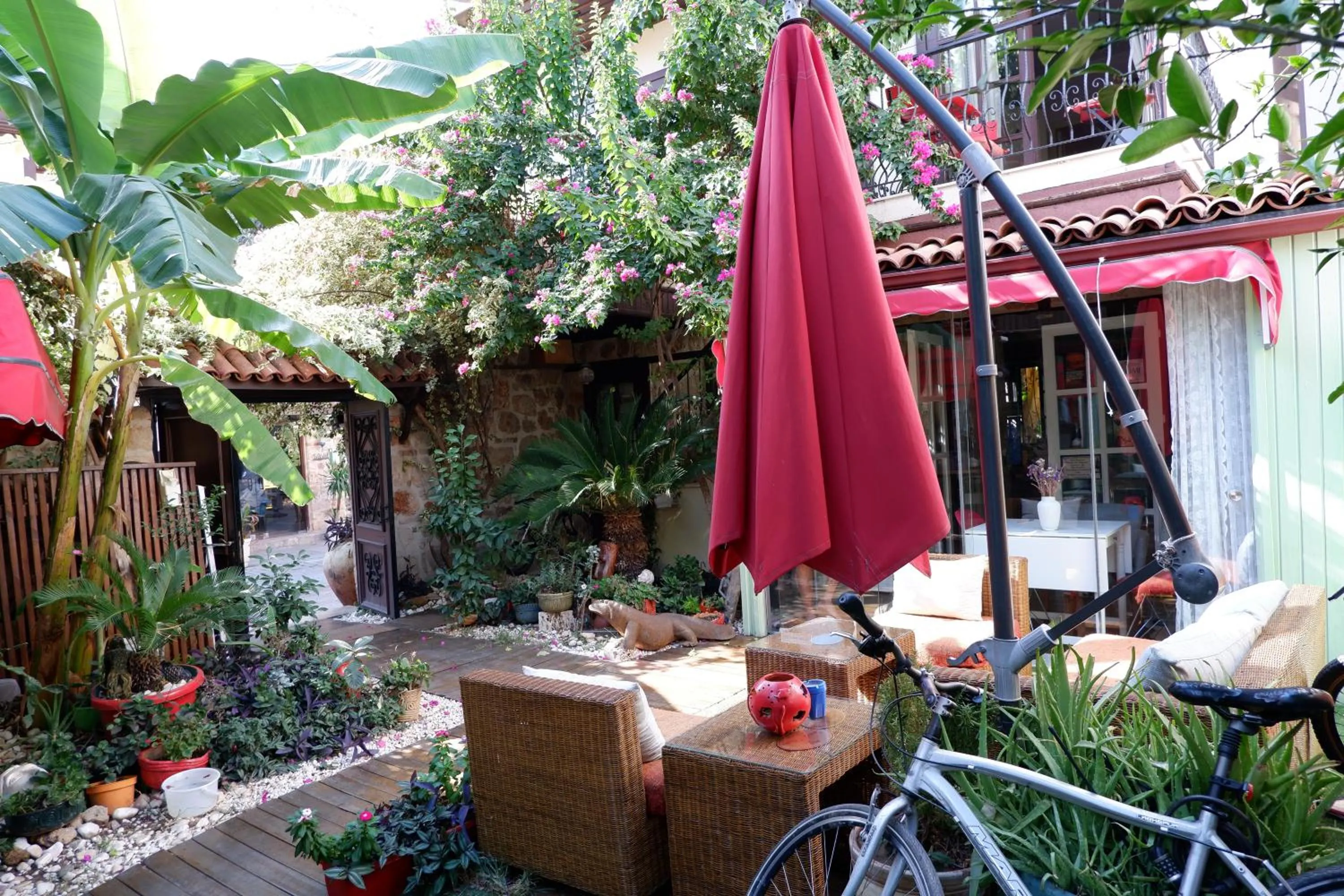 Garden in The Suite Apart Hotel