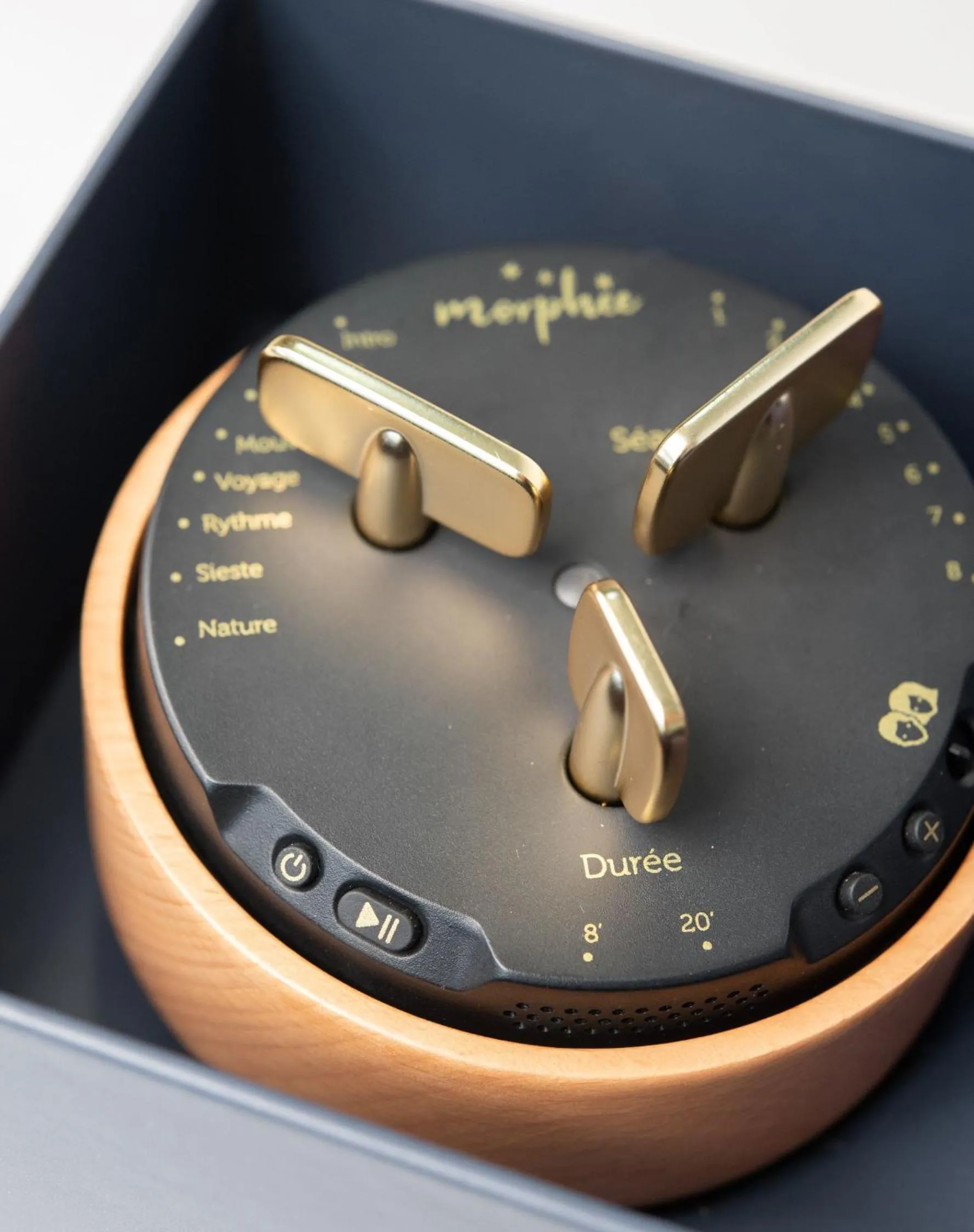 Activities in Best Western Plus d'Europe et d'Angleterre