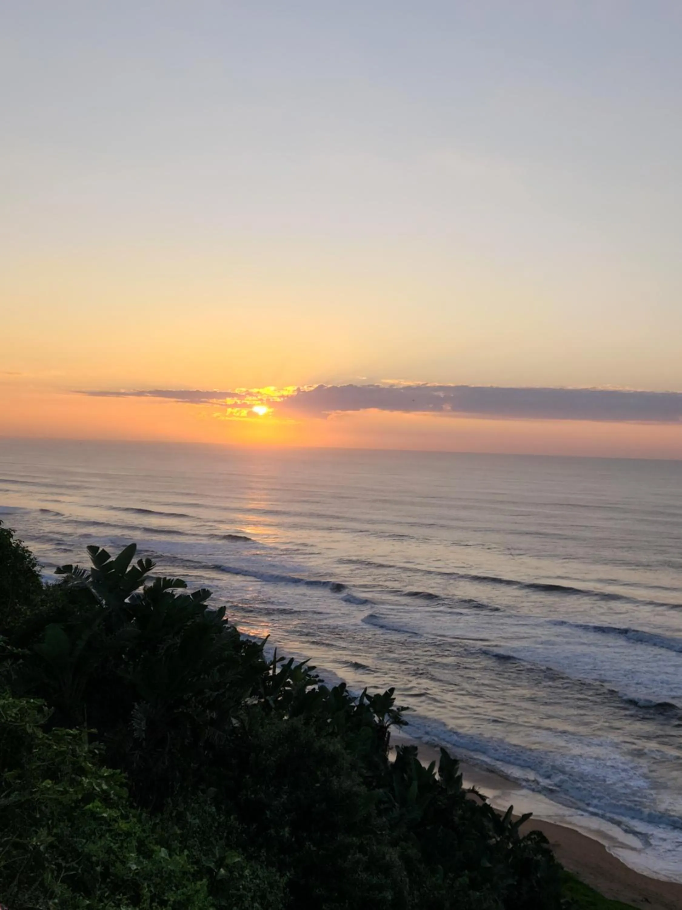 Natural landscape in 305 Guest House