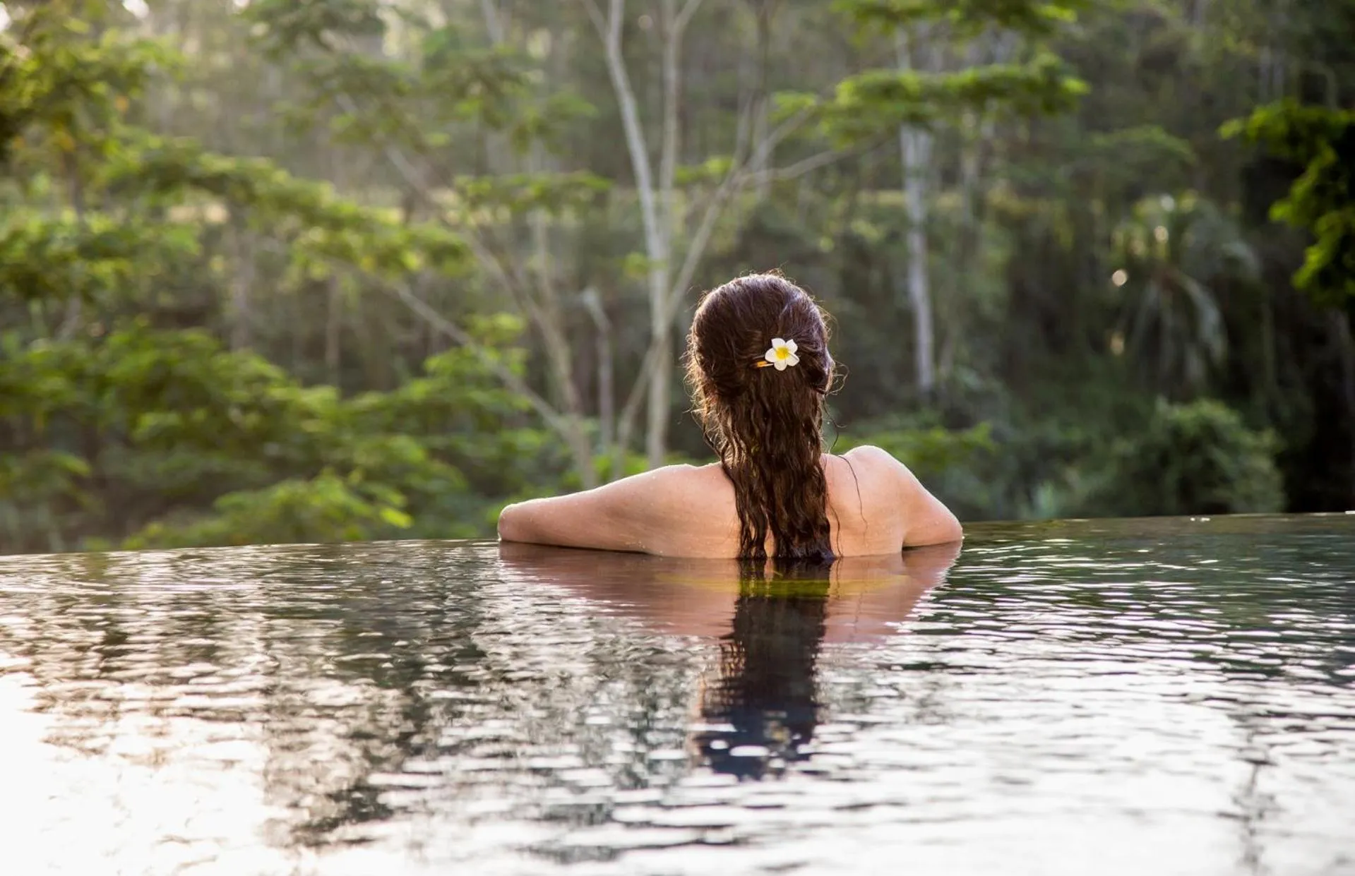 Swimming pool in The Manipura Luxury Estate and Spa Up to 18 person, fully serviced